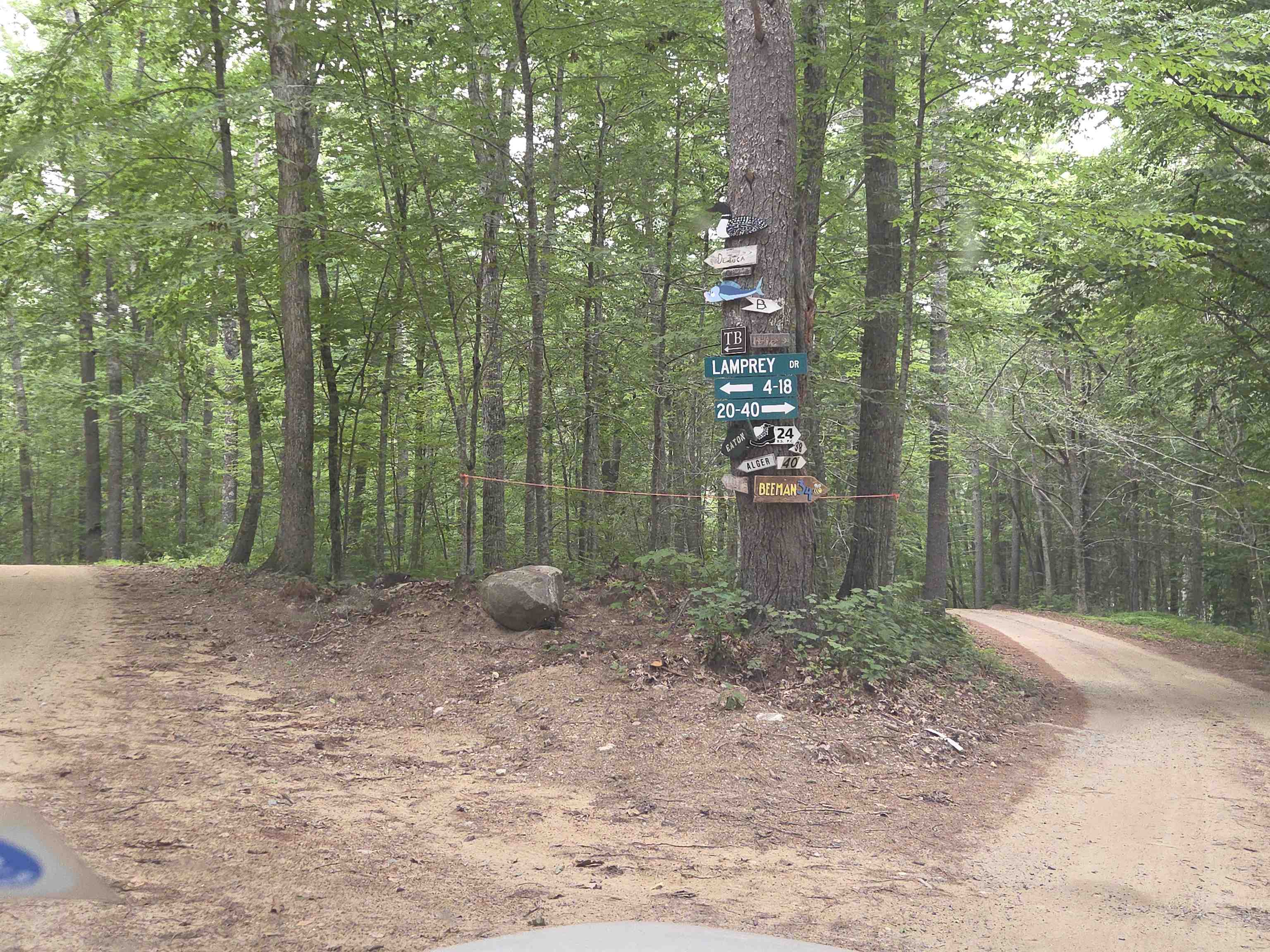 100 Lamprey Drive Property Photo 3