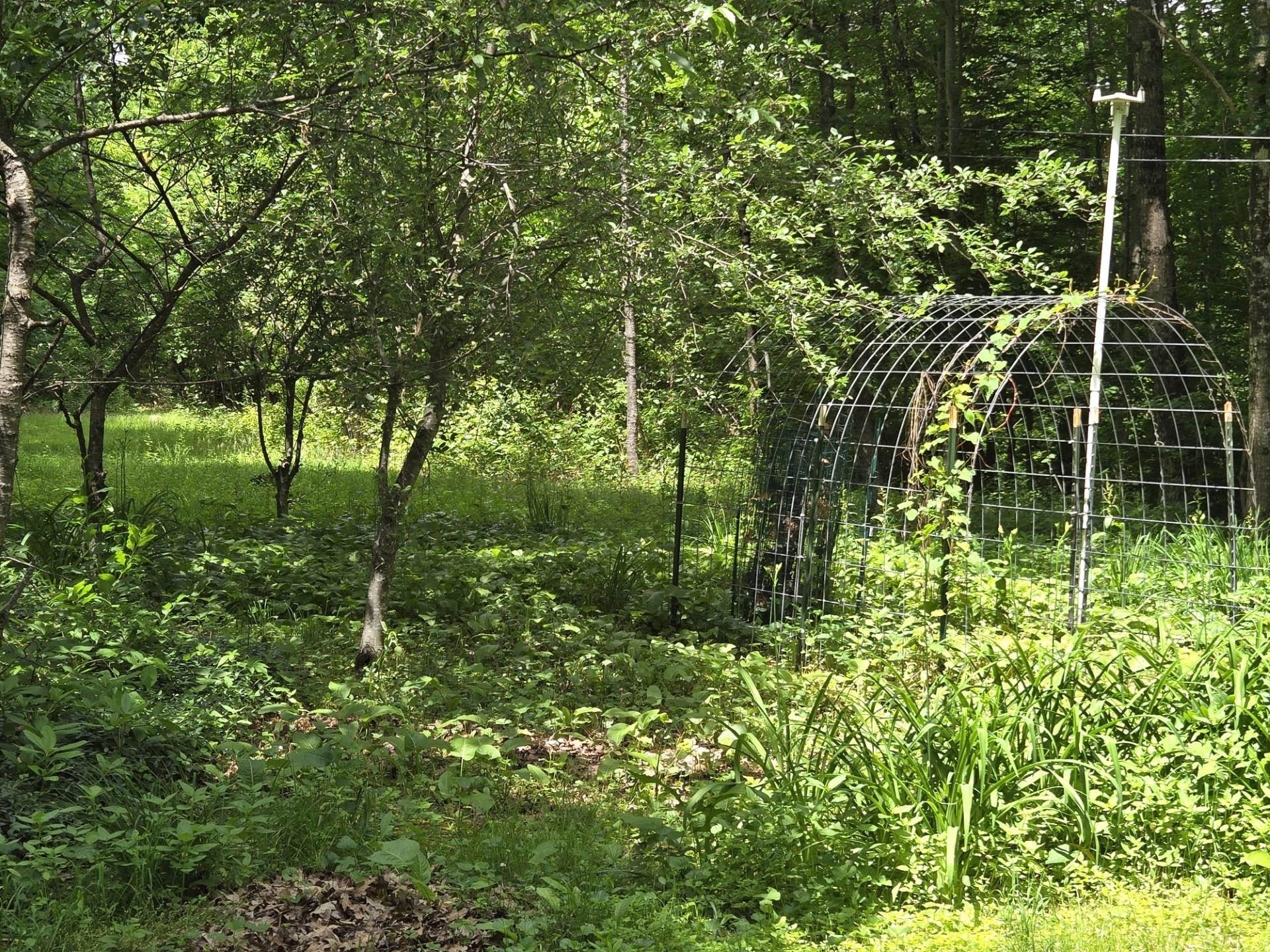 208 Nh Route 3a Property Photo 1