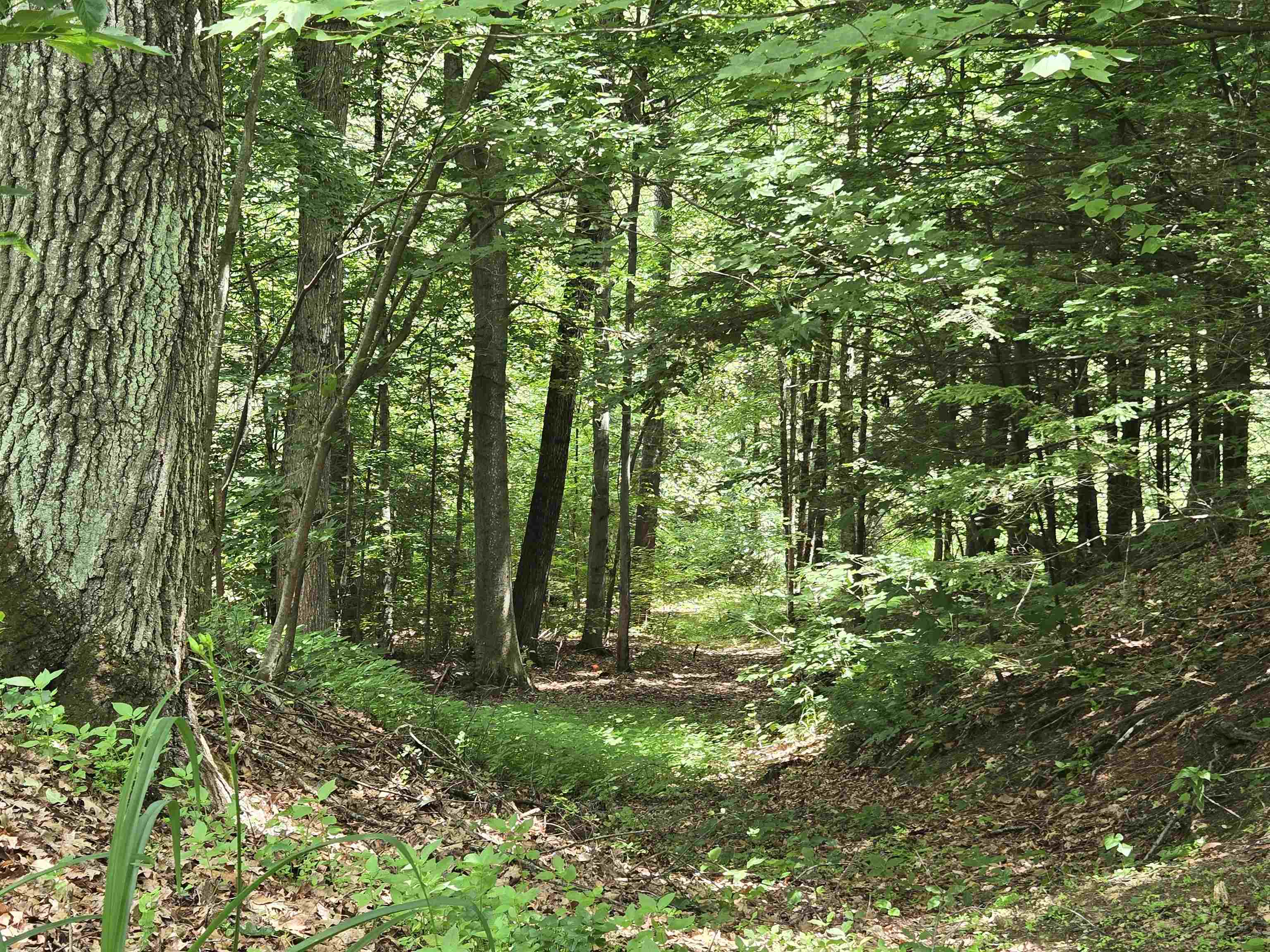 208 Nh Route 3a Property Photo 3