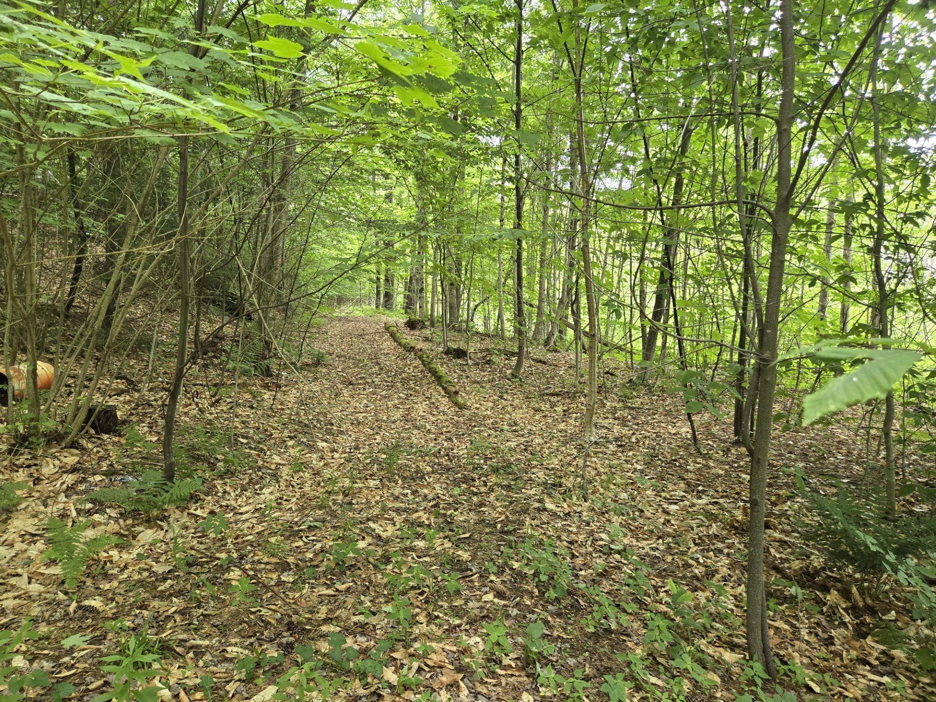 208 Nh Route 3a Property Photo 6