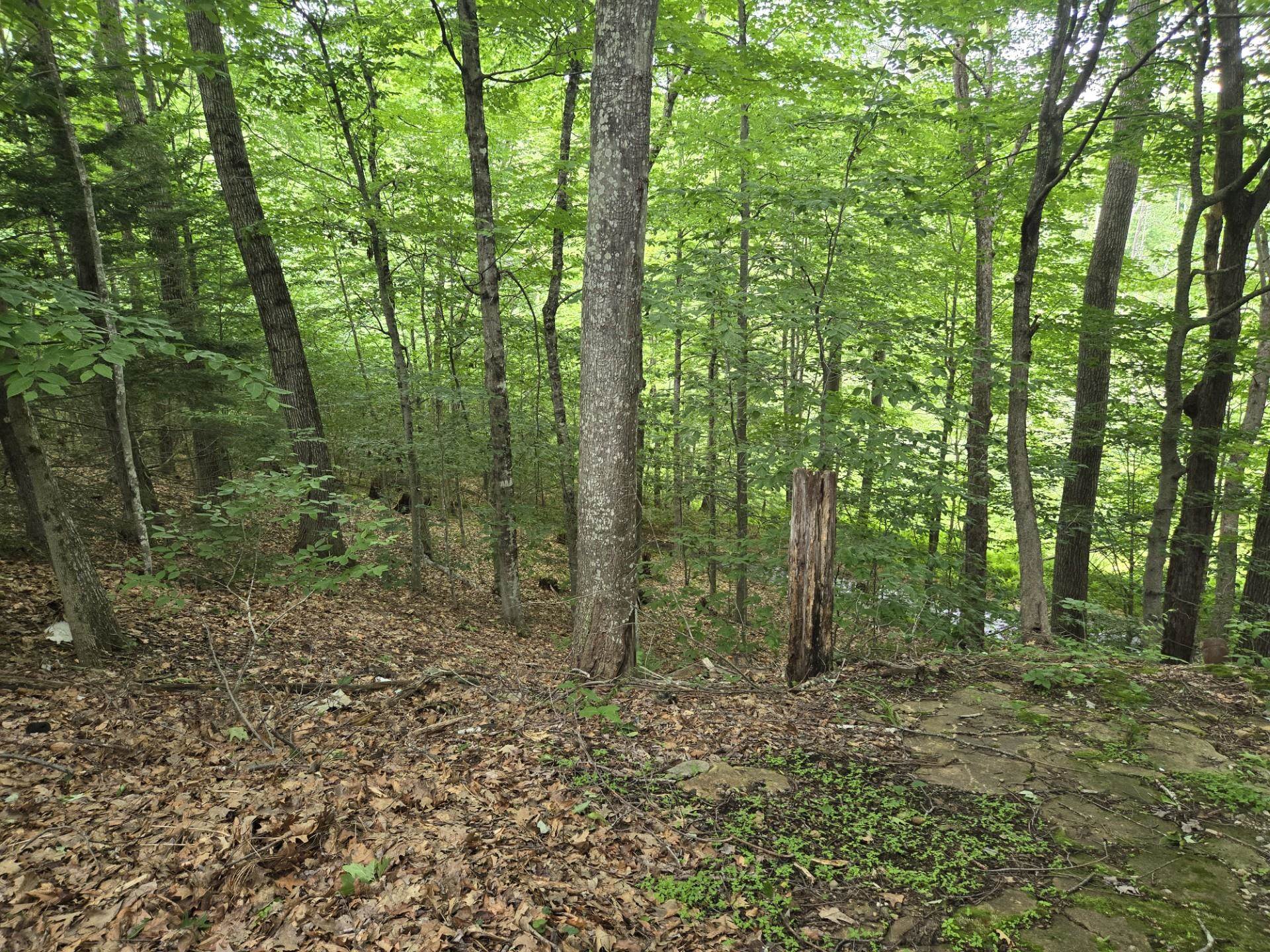 208 Nh Route 3a Property Photo 7