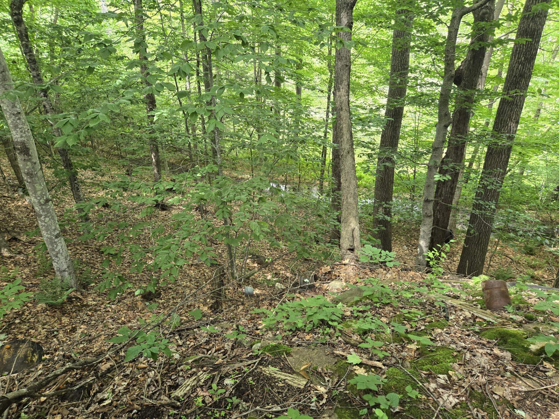 208 Nh Route 3a Property Photo 9