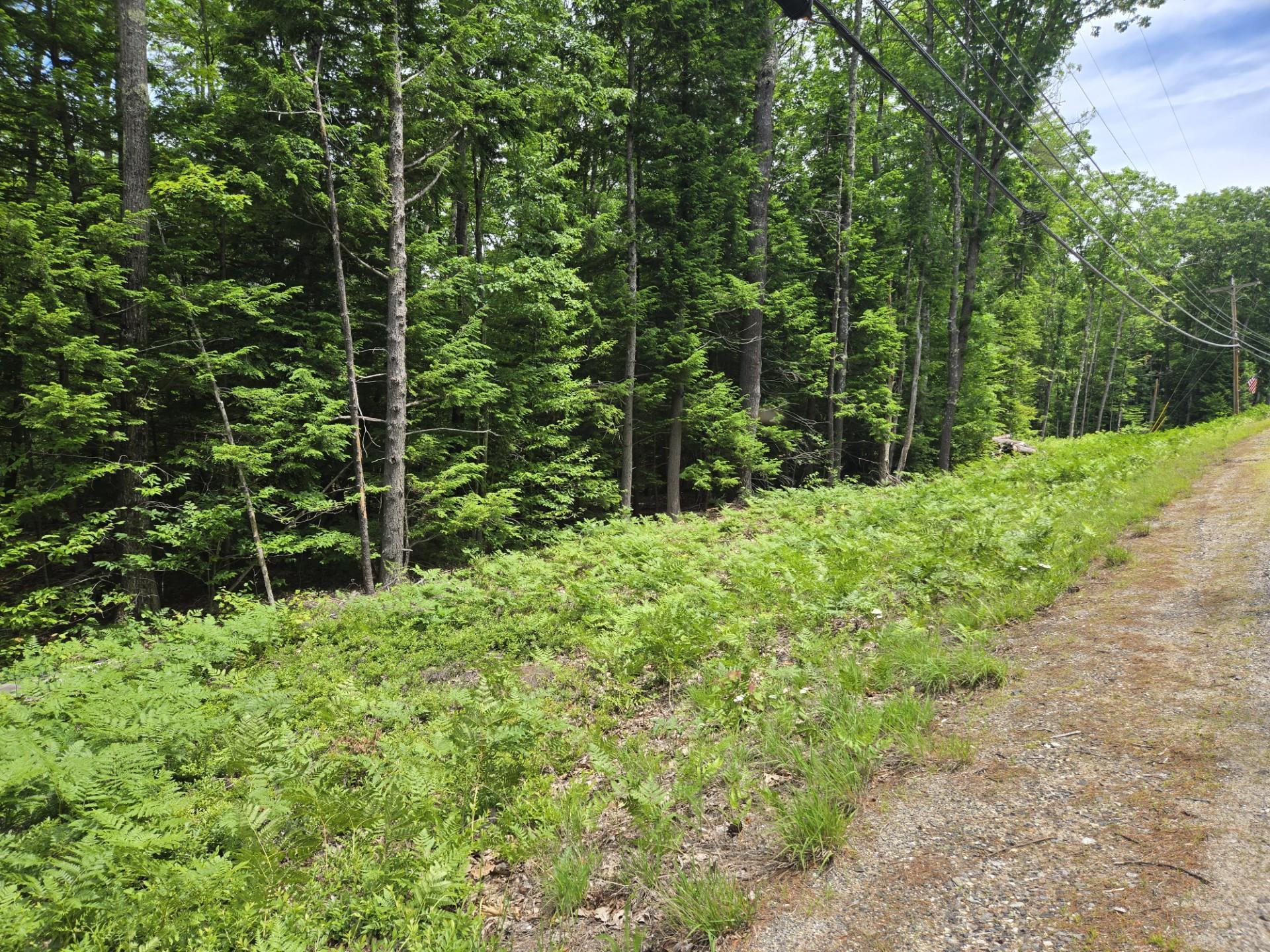 208 Nh Route 3a Property Photo 13