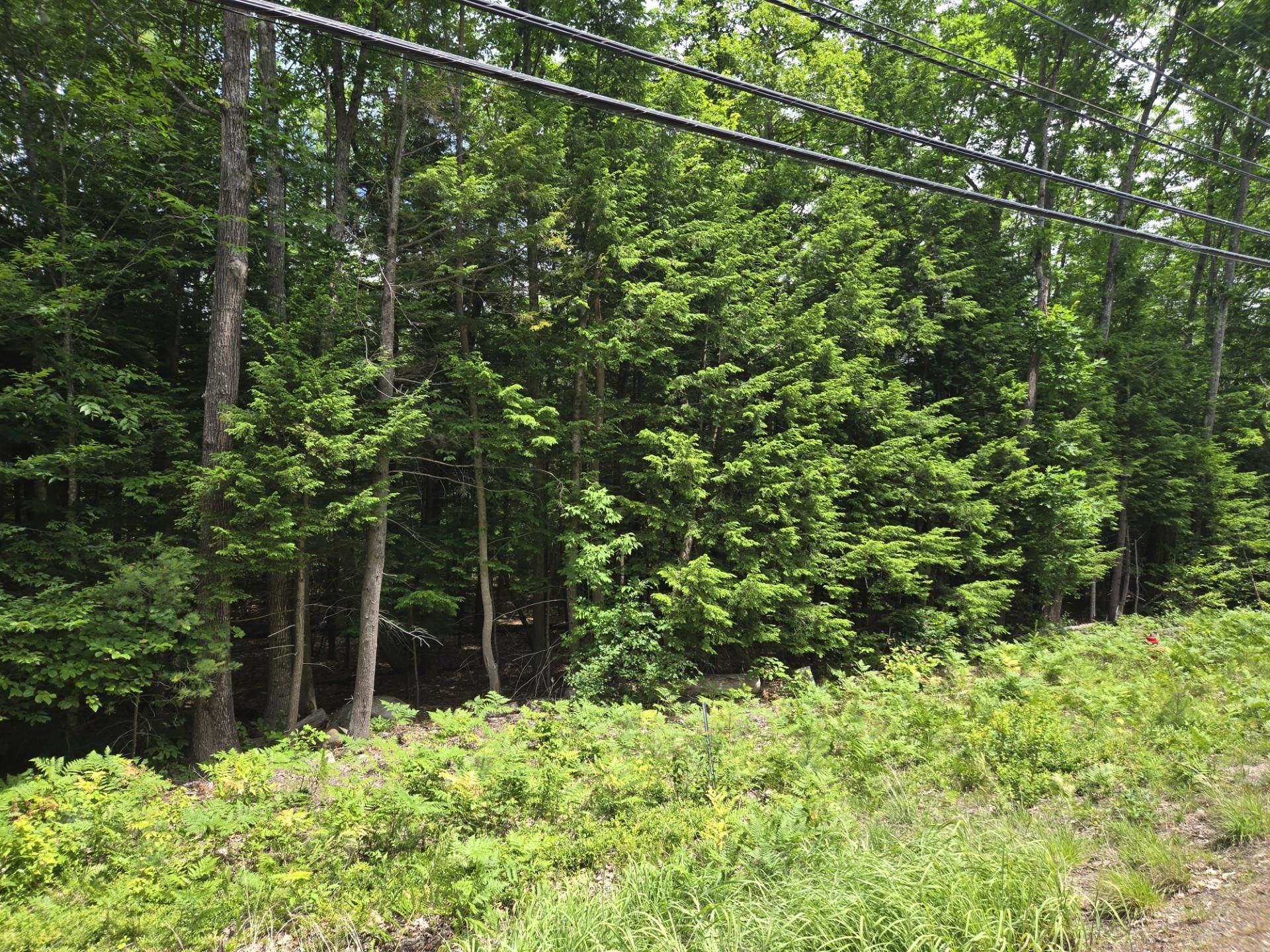208 Nh Route 3a Property Photo 14