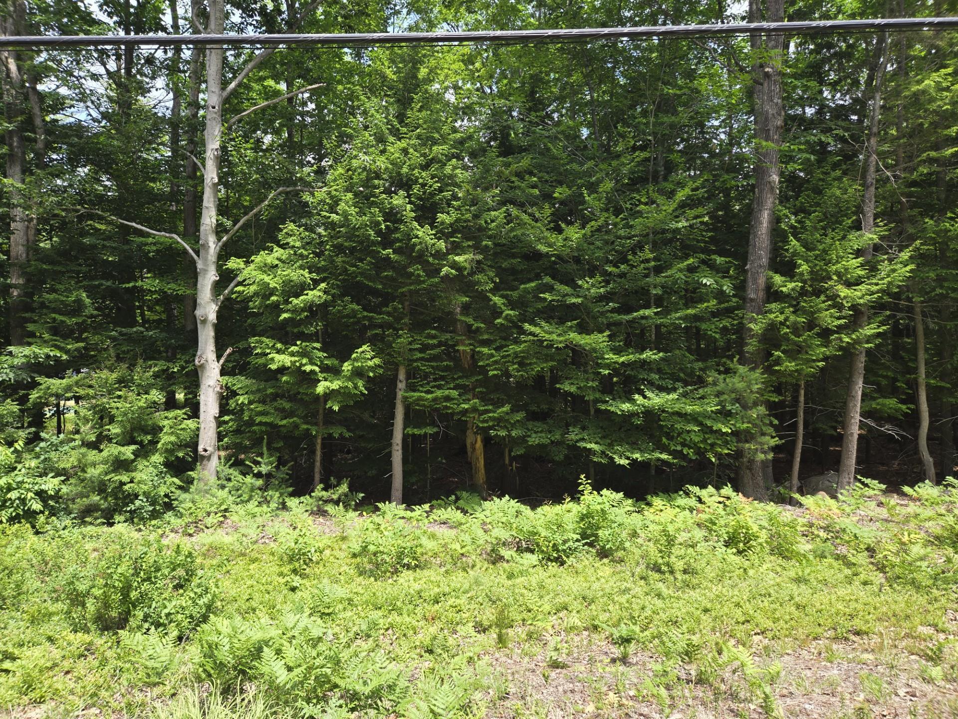 208 Nh Route 3a Property Photo 15