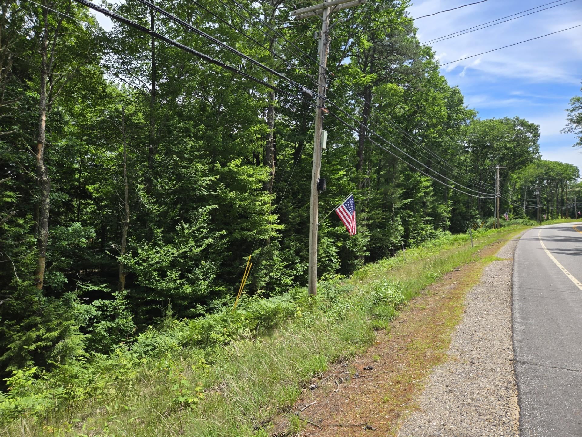 208 Nh Route 3a Property Photo 16