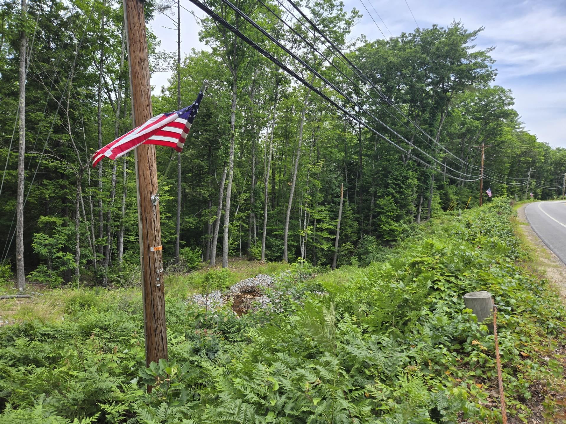 208 Nh Route 3a Property Photo 18