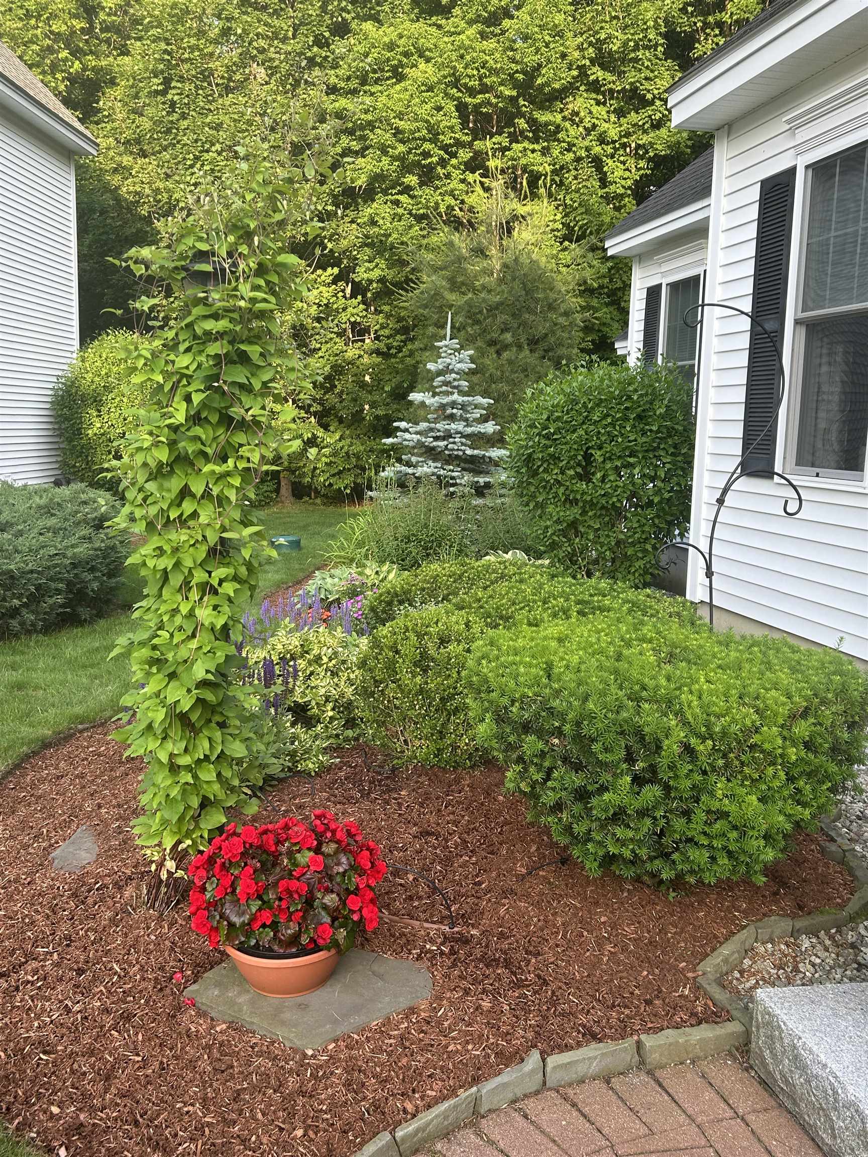 32 Peacock Brook Lane Property Photo 28