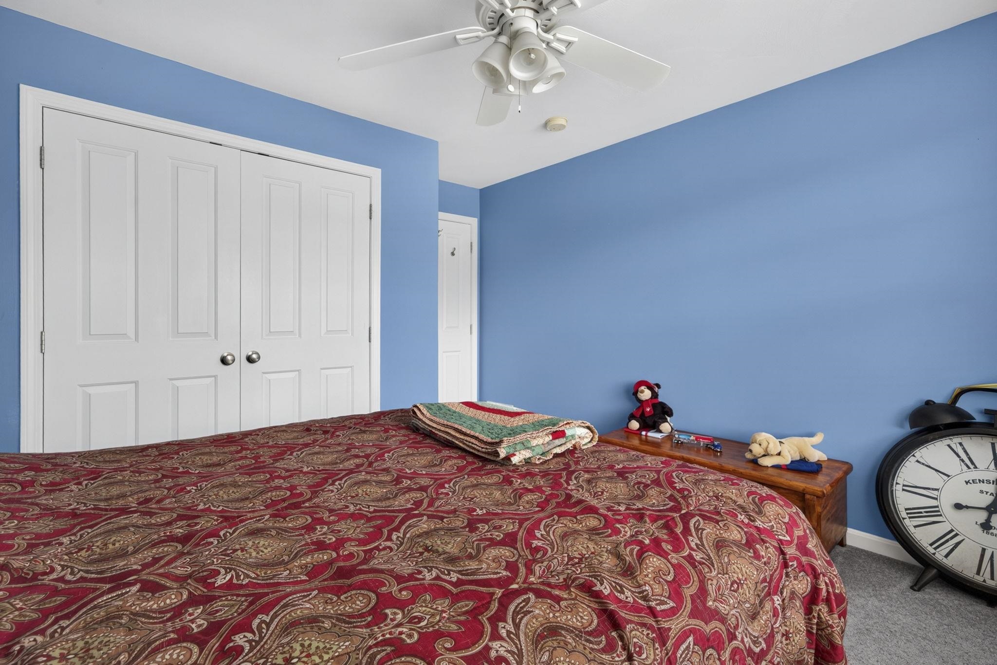 57 Baldwin Street Property Photo 19