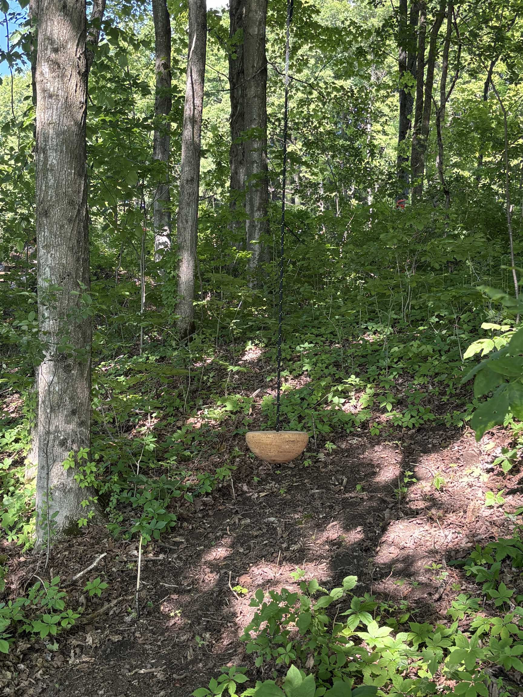 Lot #15 Pocket Road Property Photo 11