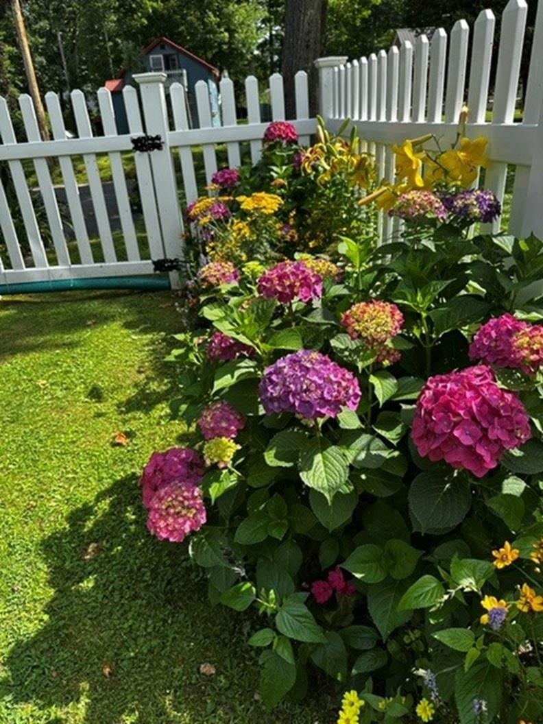 103 Loop Road Property Photo 46