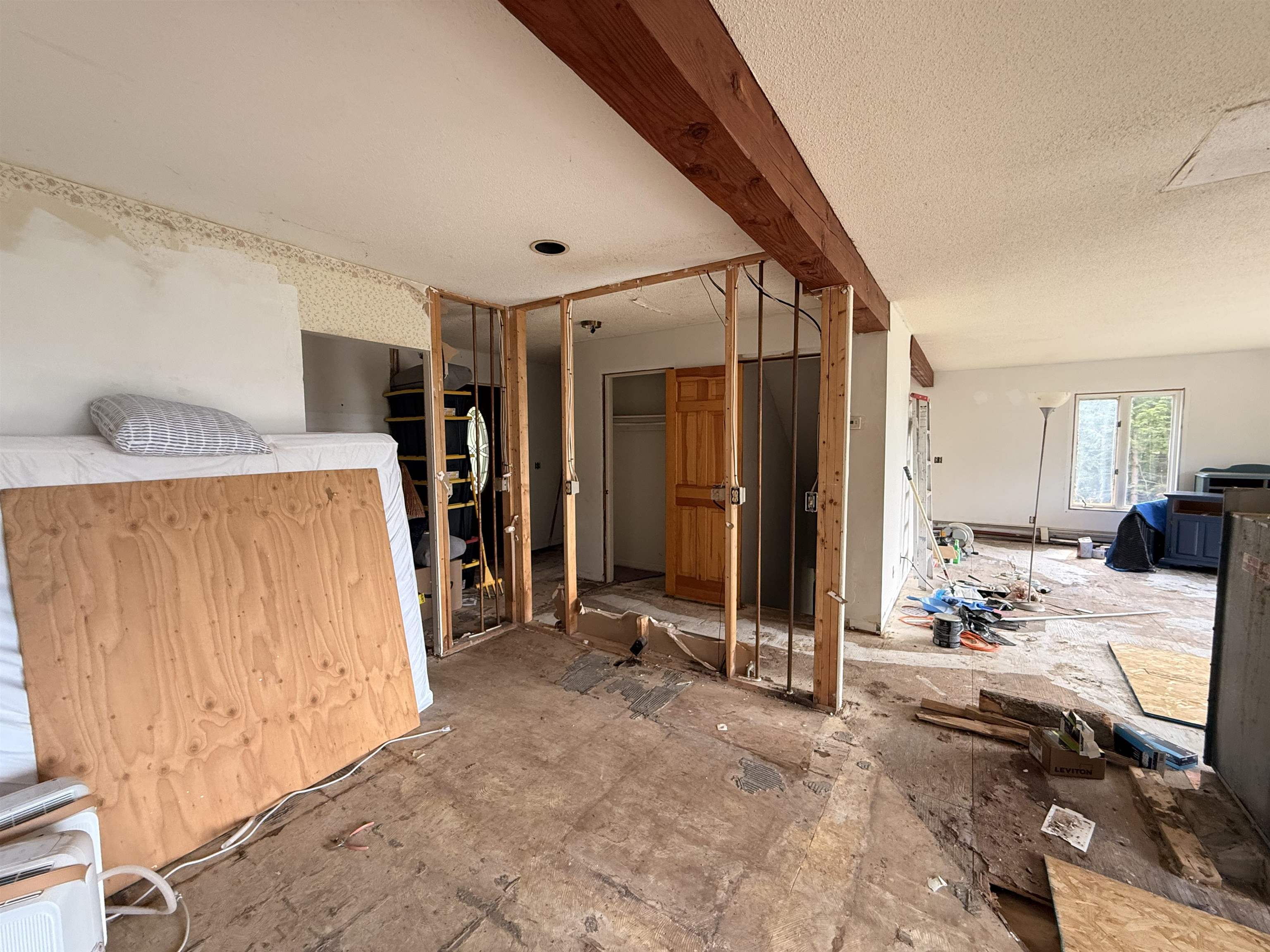 29 Mollie Road Property Photo 18