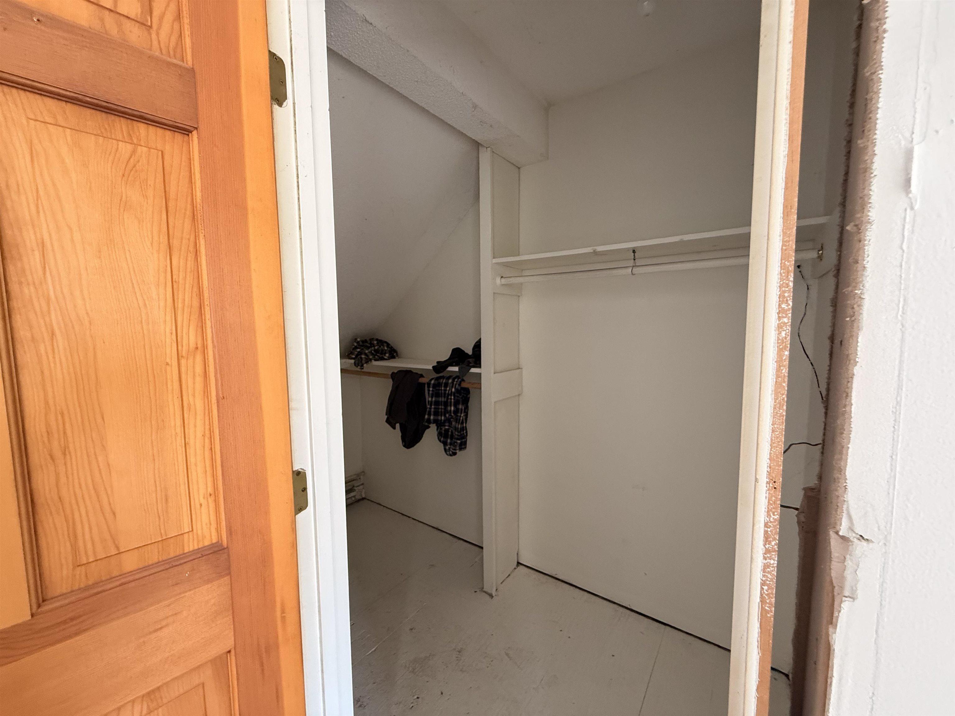 29 Mollie Road Property Photo 27
