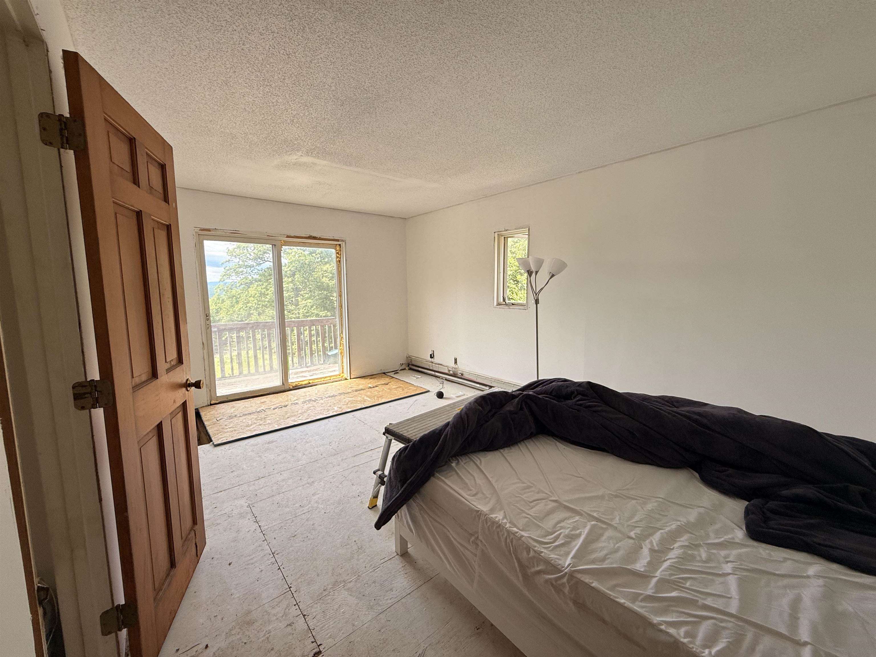 29 Mollie Road Property Photo 29