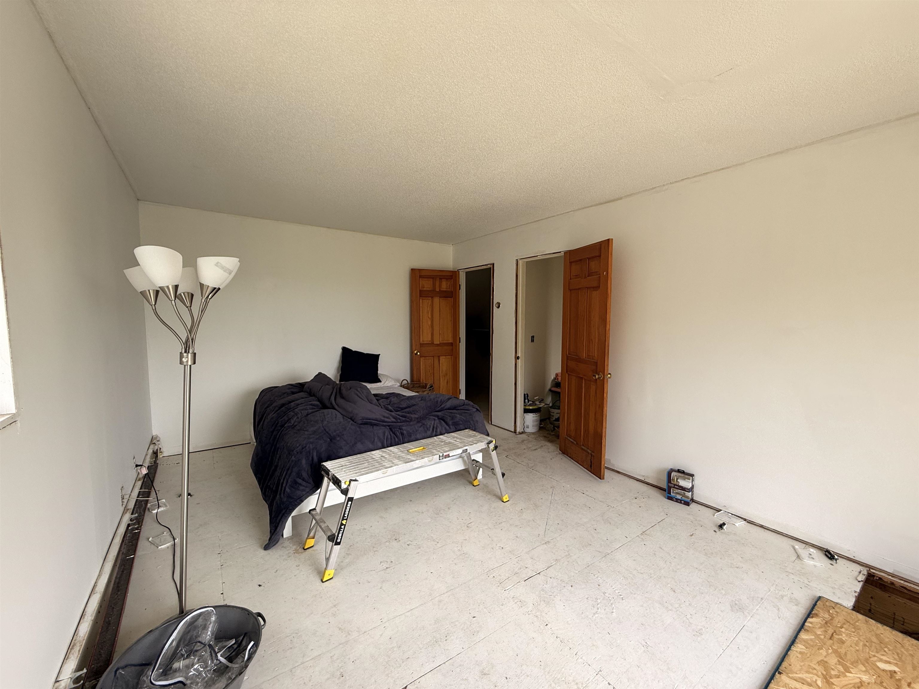 29 Mollie Road Property Photo 30