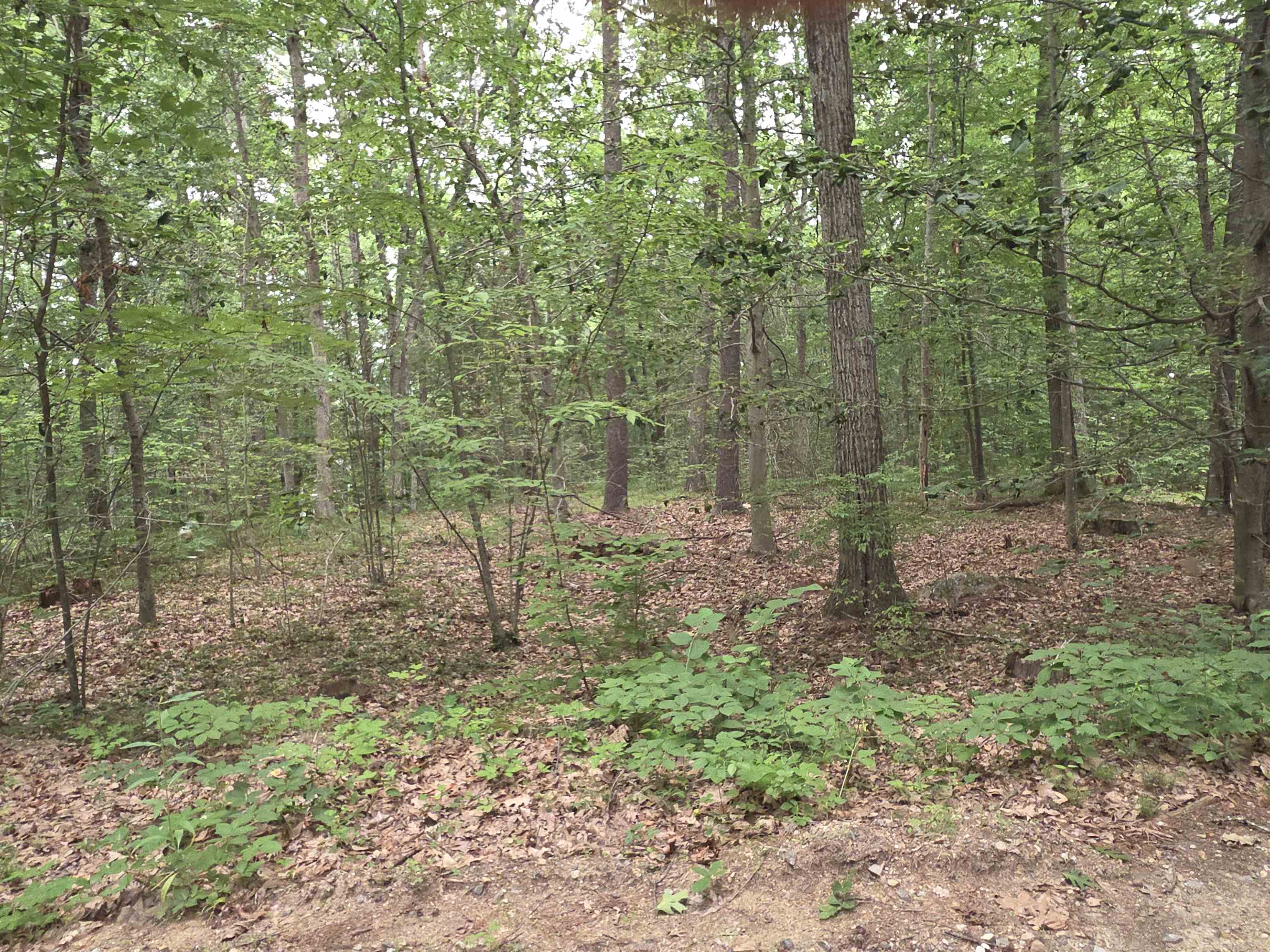 90 Lamprey Drive Property Photo 6