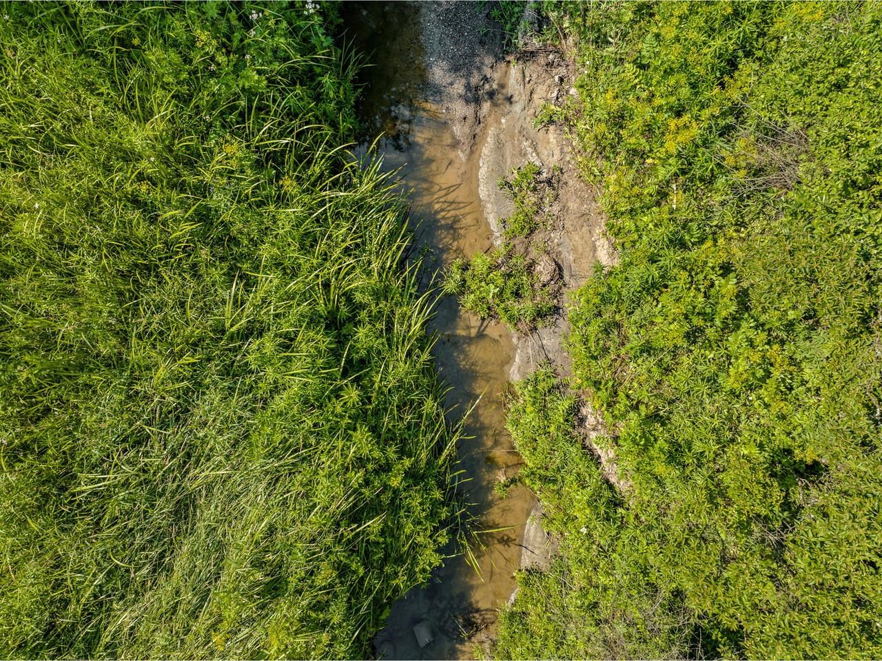 Tbd Pearson Road Property Photo 18