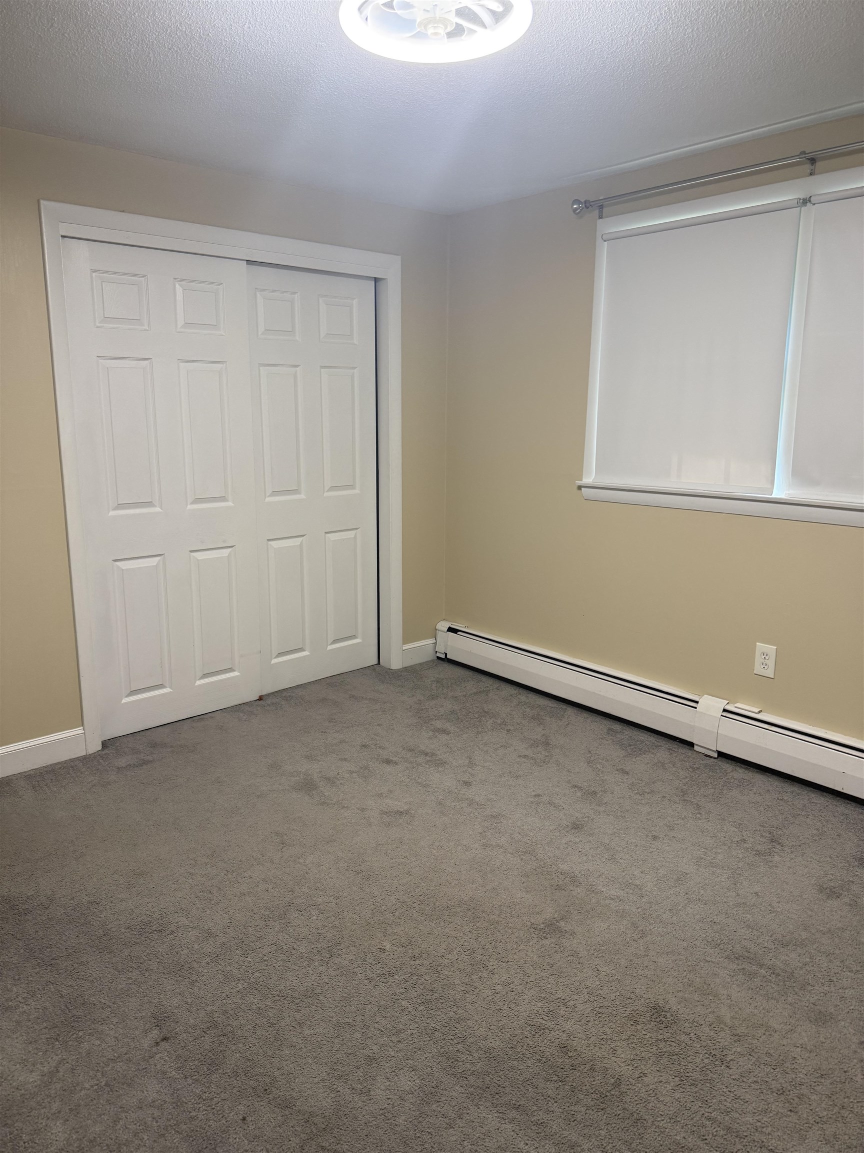 6 Auburn Street Property Photo 10