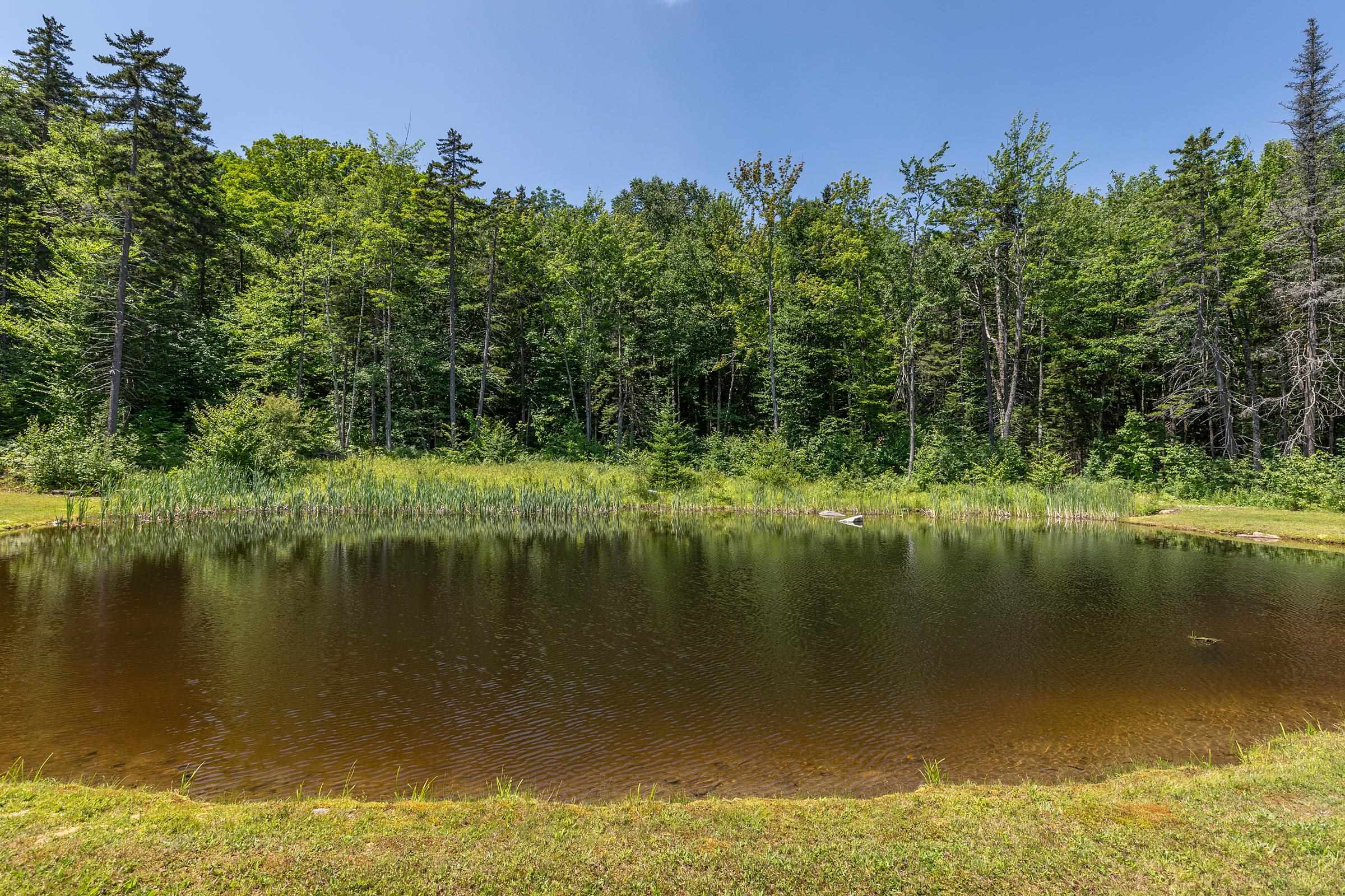 3319 East Hill Road Property Photo 49