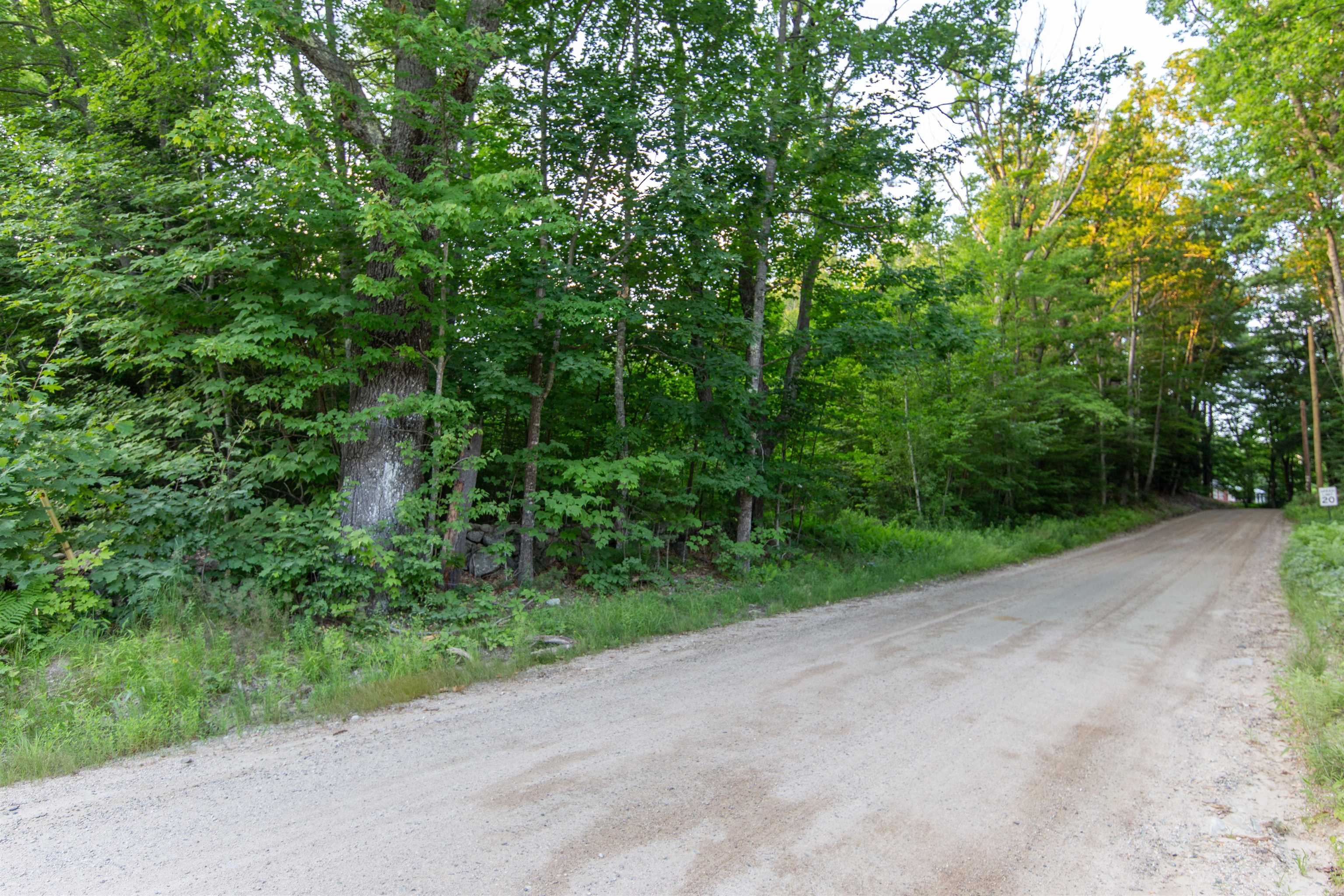 Map 413, Lot 4 Bunker Hill Road Property Photo 5