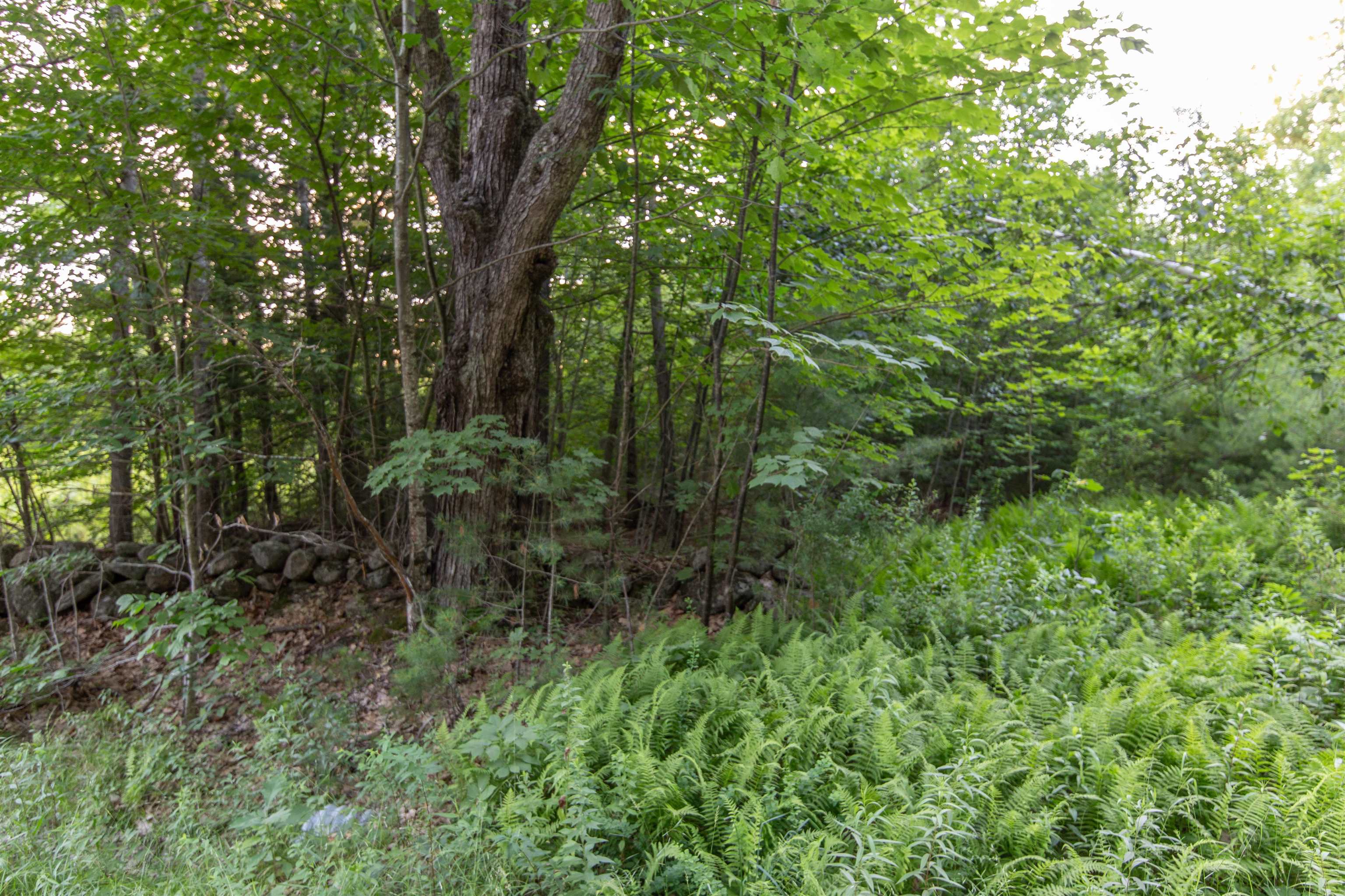 Map 413, Lot 4 Bunker Hill Road Property Photo 7