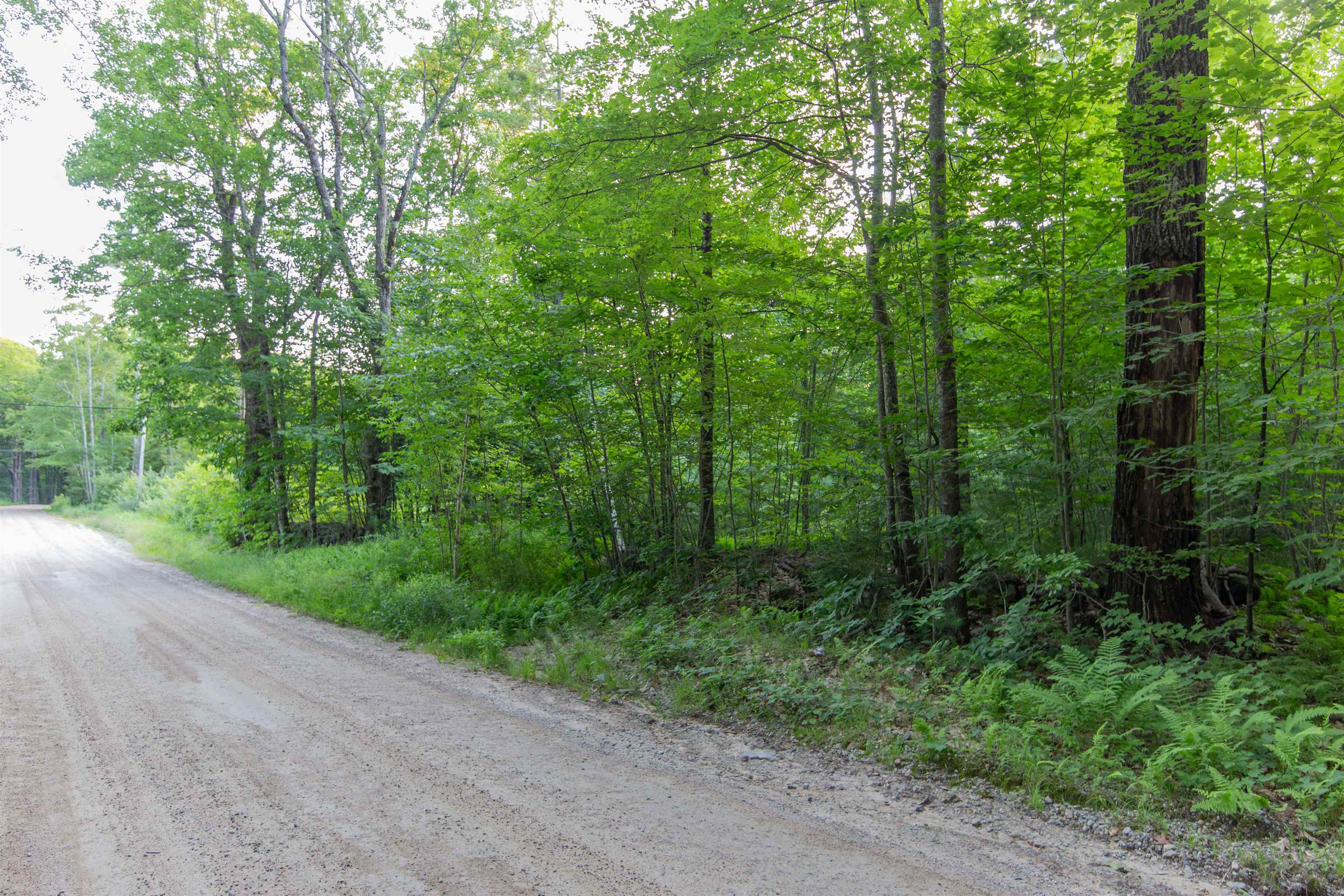 Map 413, Lot 4 Bunker Hill Road Property Photo 8