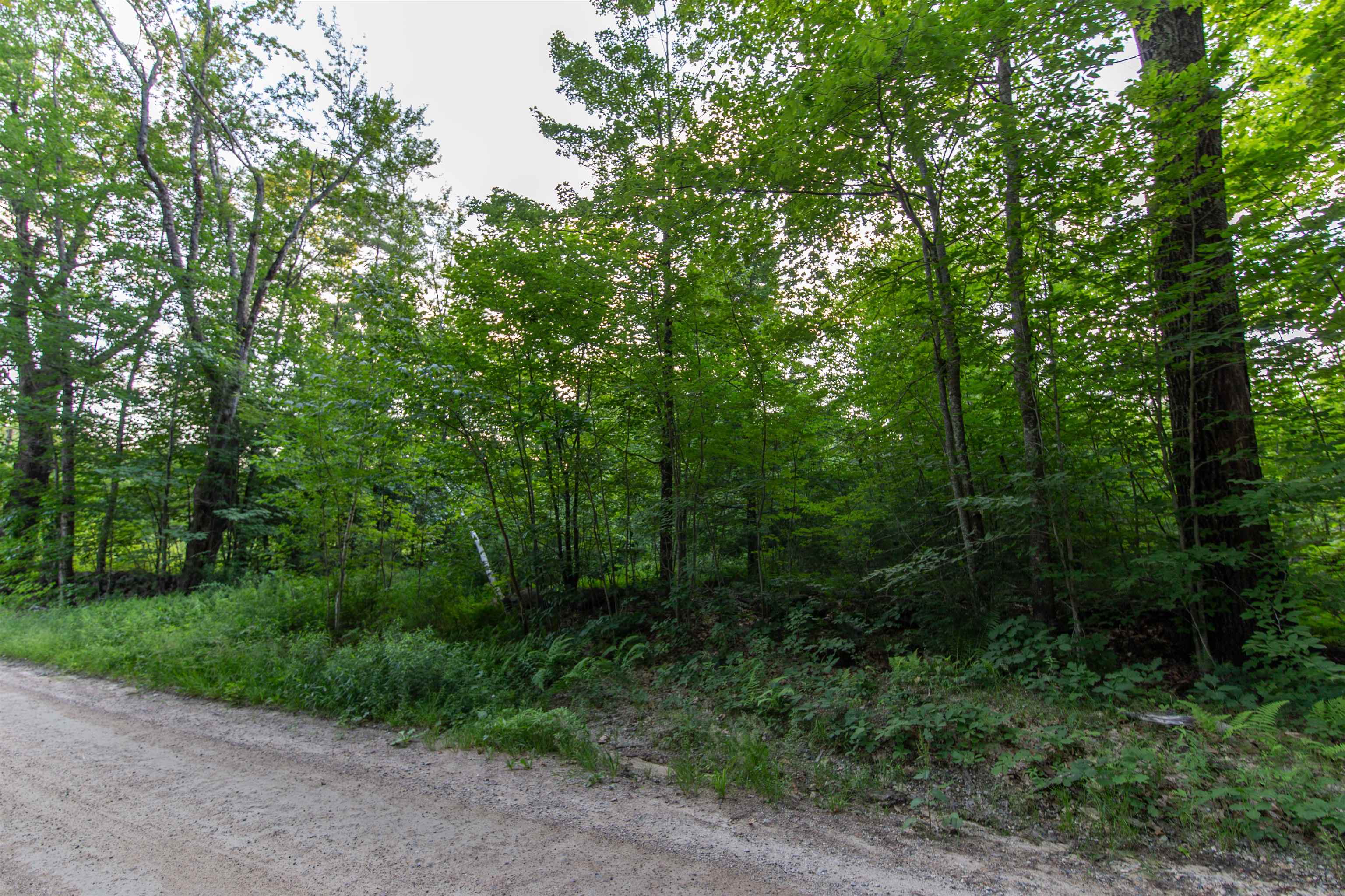 Map 413, Lot 4 Bunker Hill Road Property Photo 9