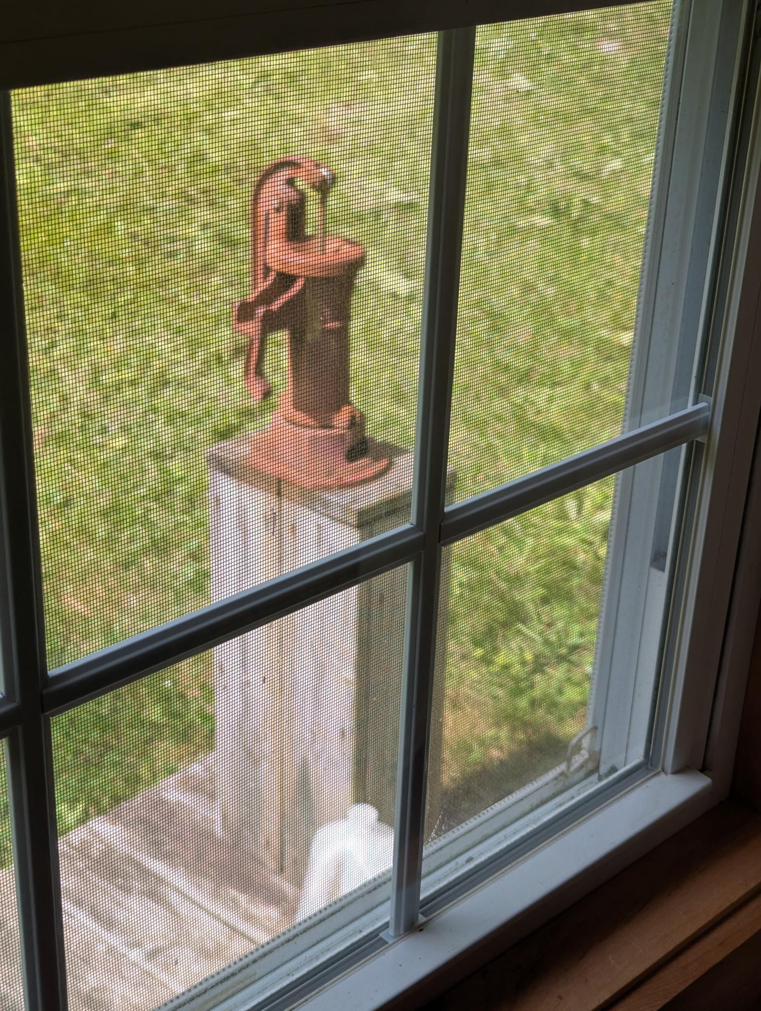 3649 Canaan Hill Road Property Photo 49
