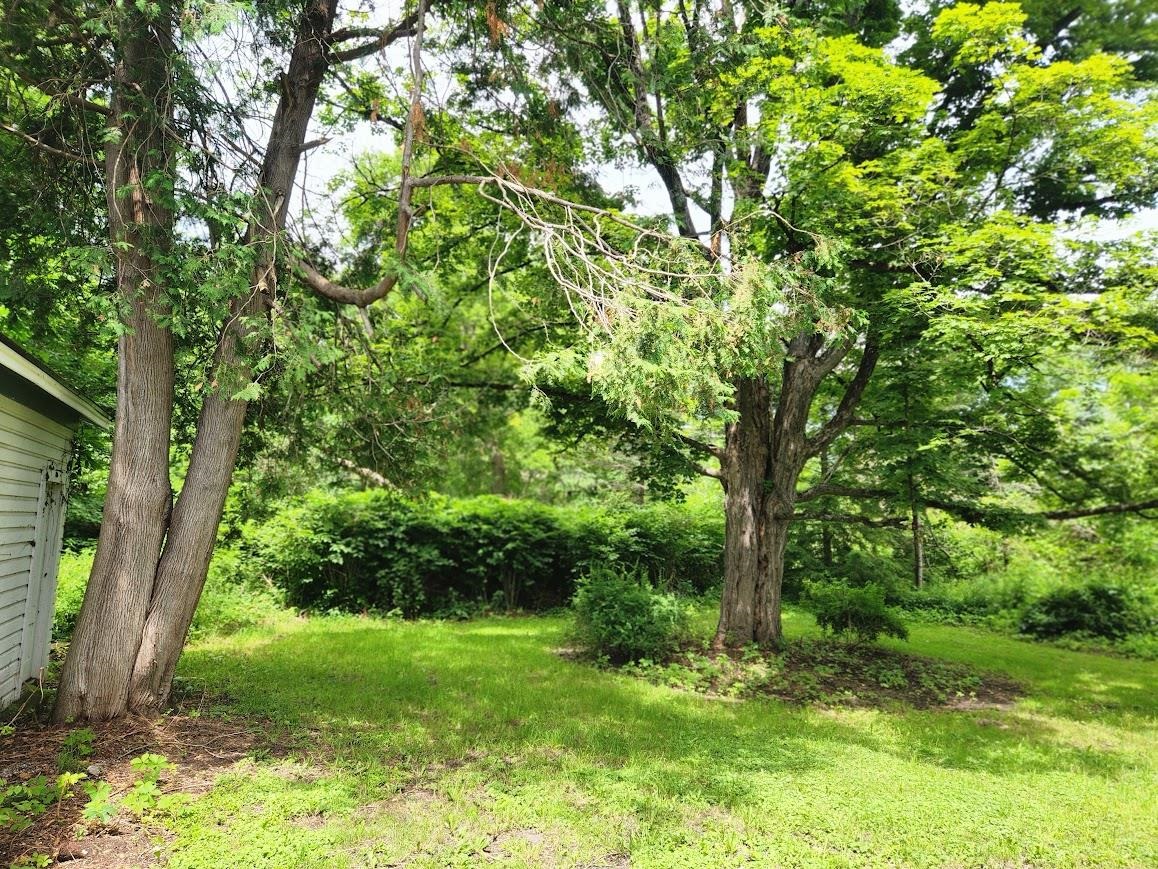 115 River Street Property Photo 8