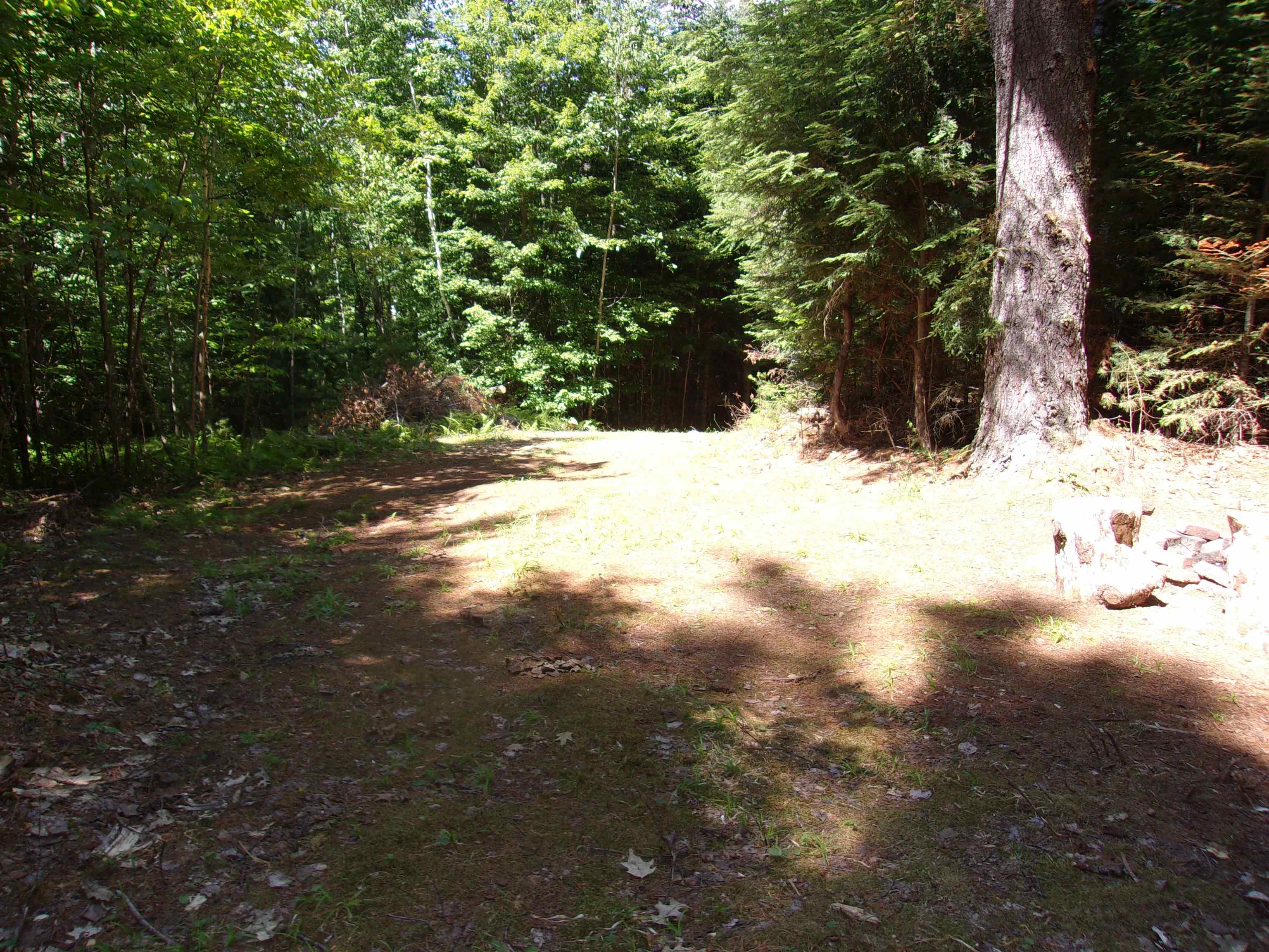 Swiftwater Circle Property Photo 2