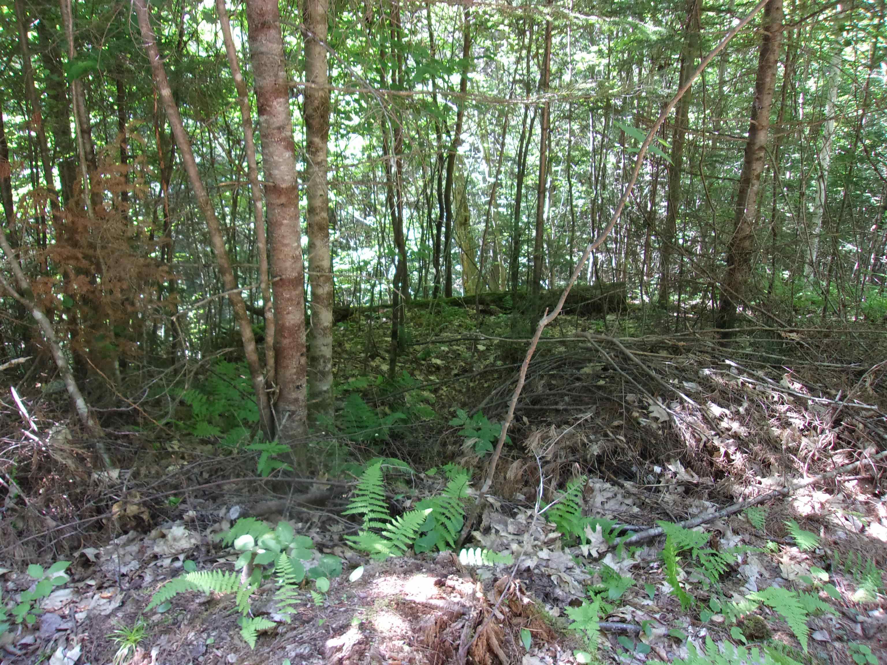 Swiftwater Circle Property Photo 3