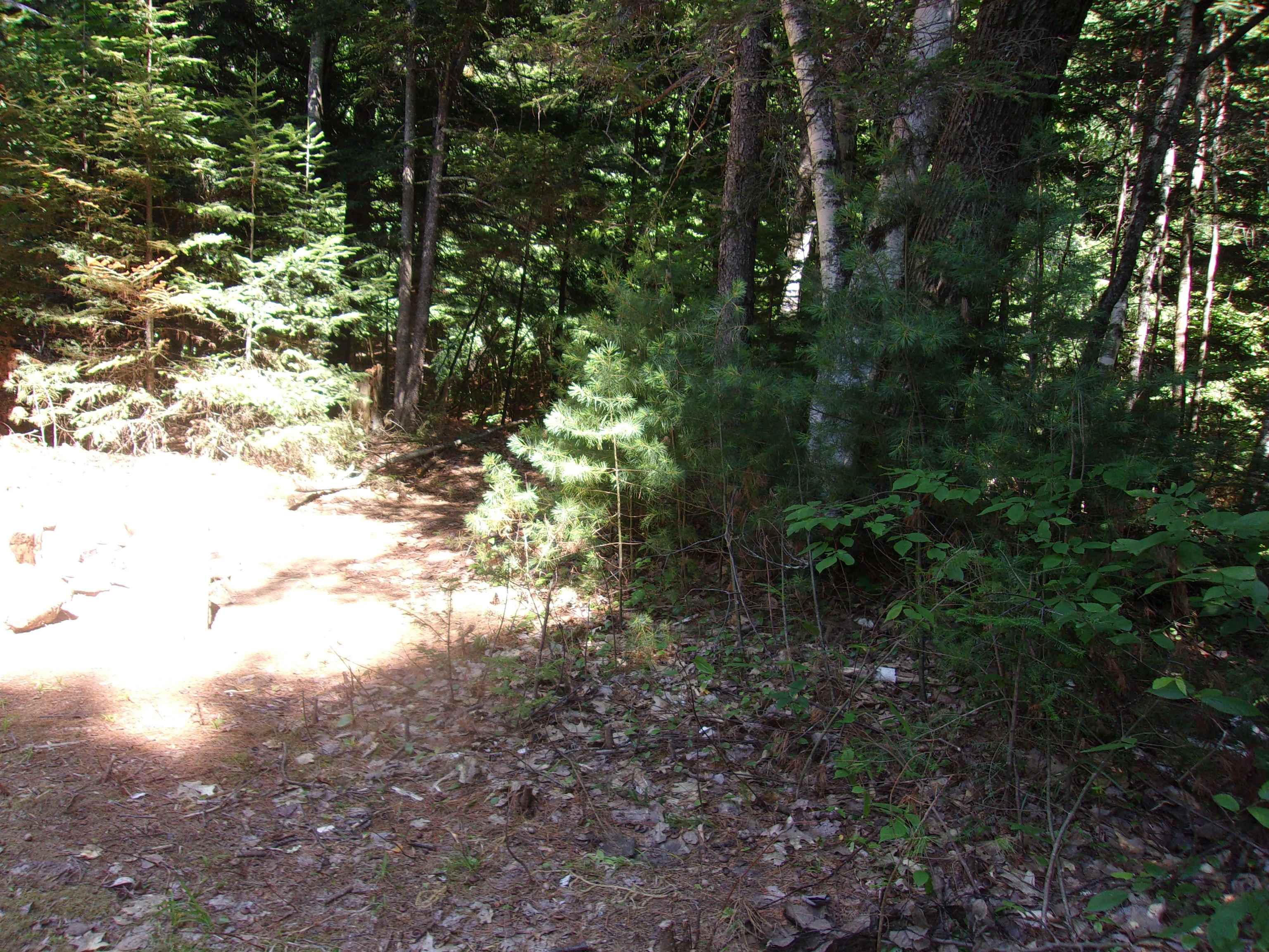 Swiftwater Circle Property Photo 4