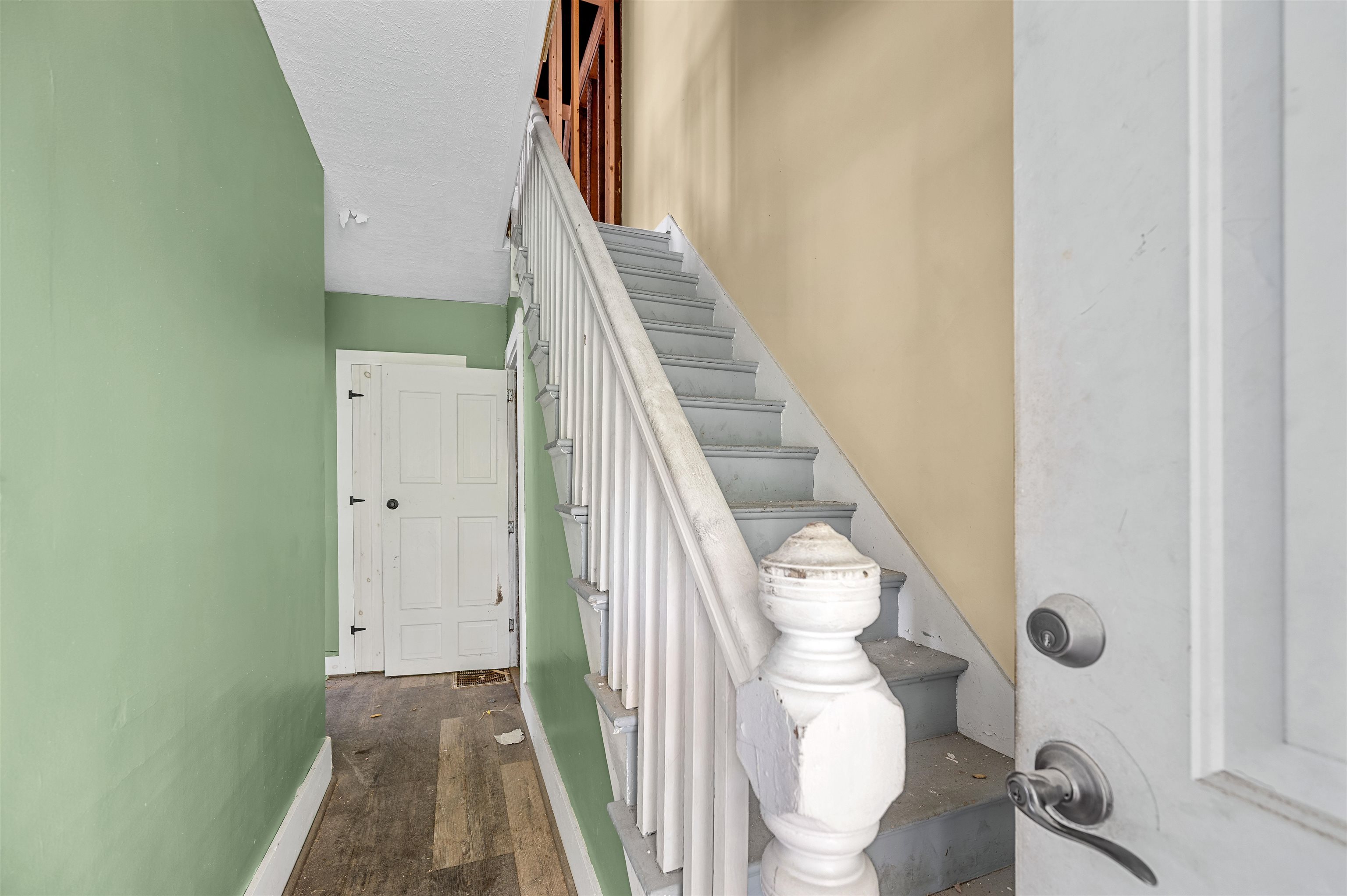 34 Willey Street Property Photo 26