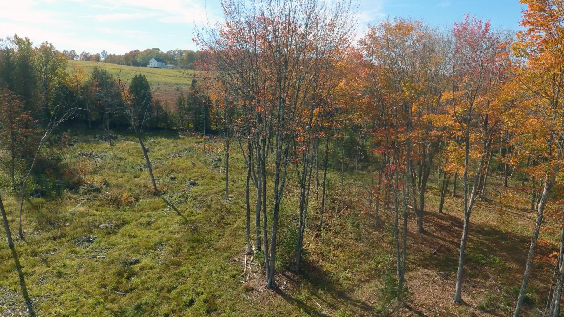 2209 Underpass Road Property Photo 3