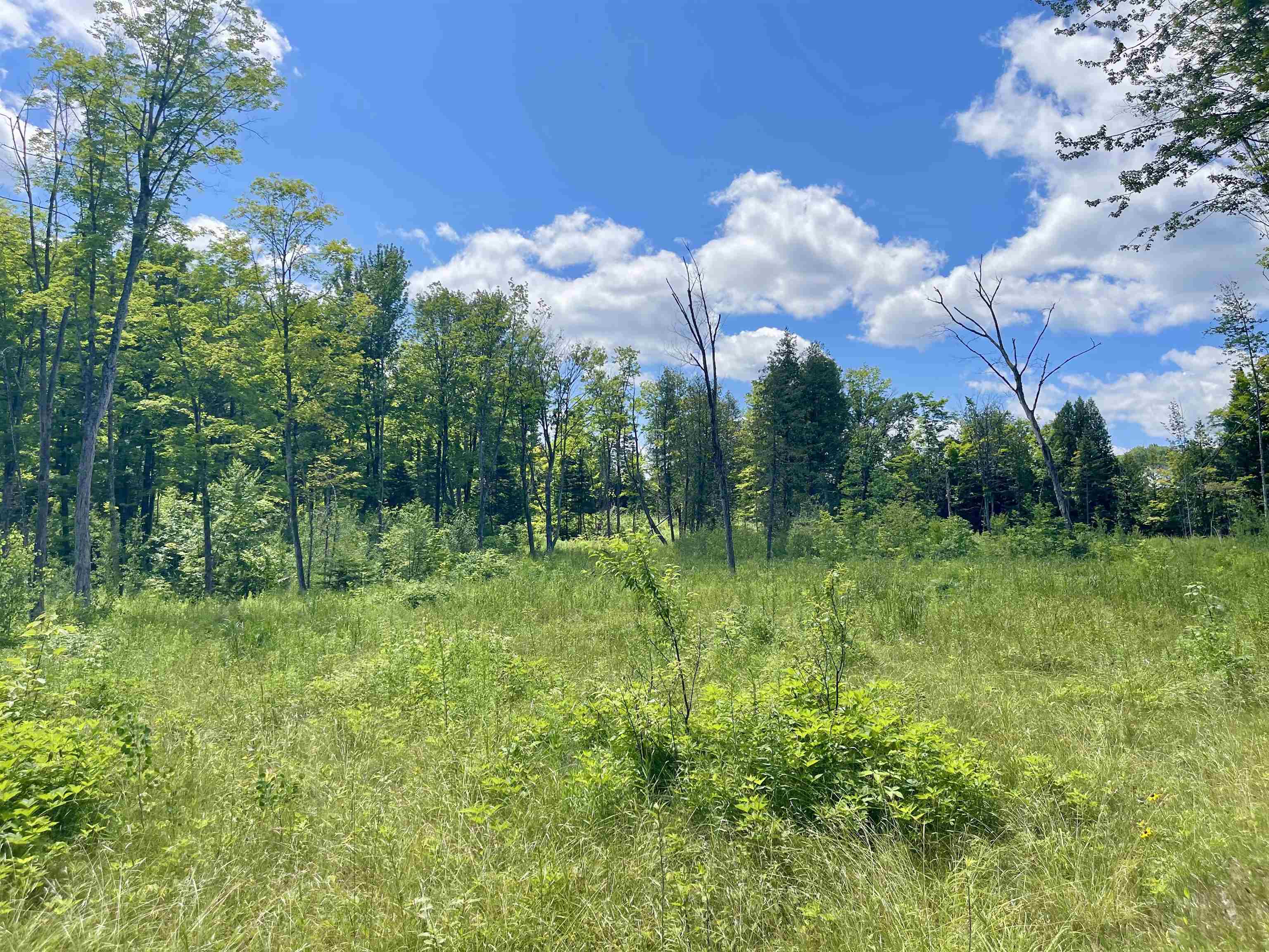 2209 Underpass Road Property Photo 4