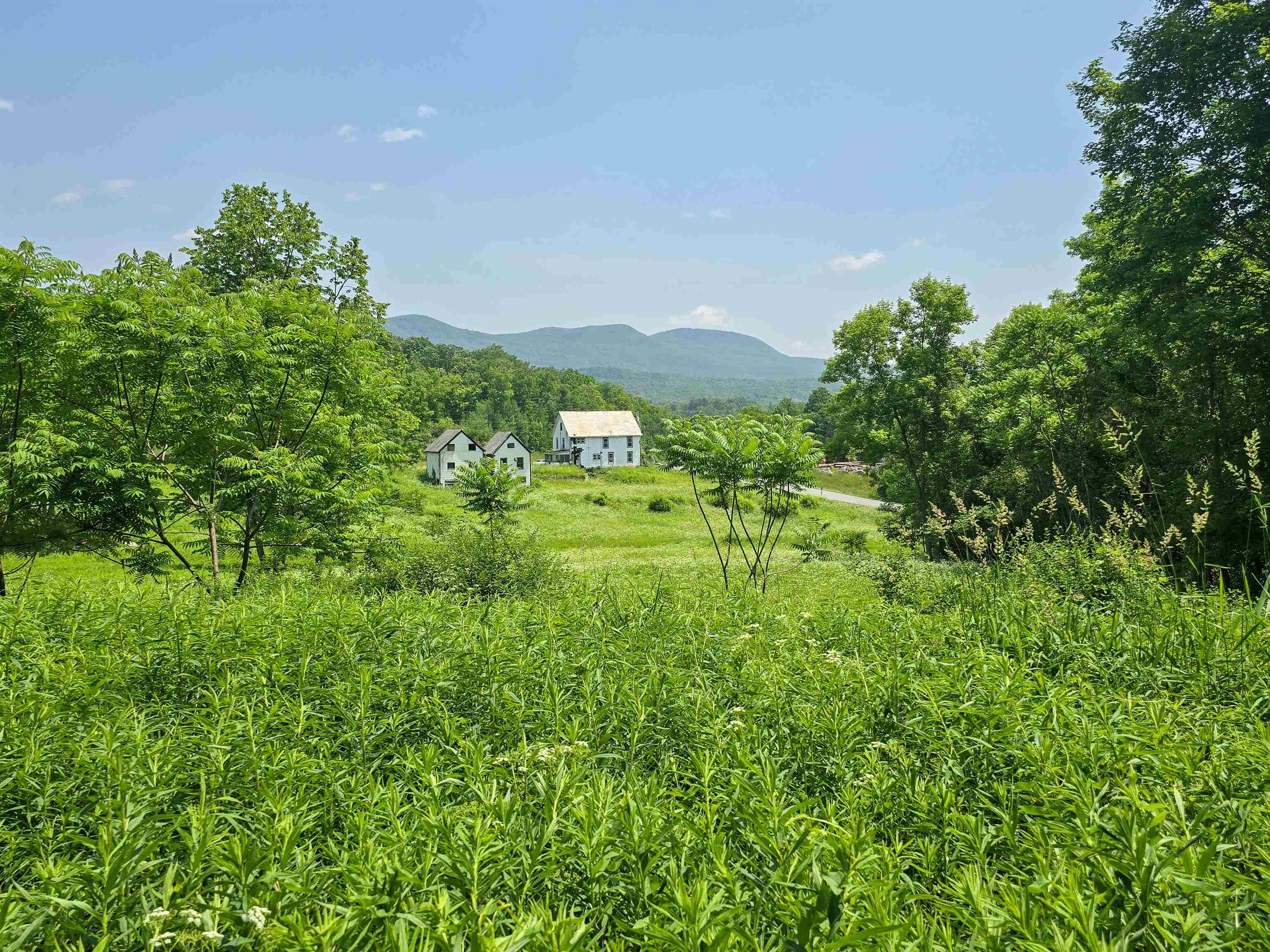 21 Nickerson Road Property Photo 25