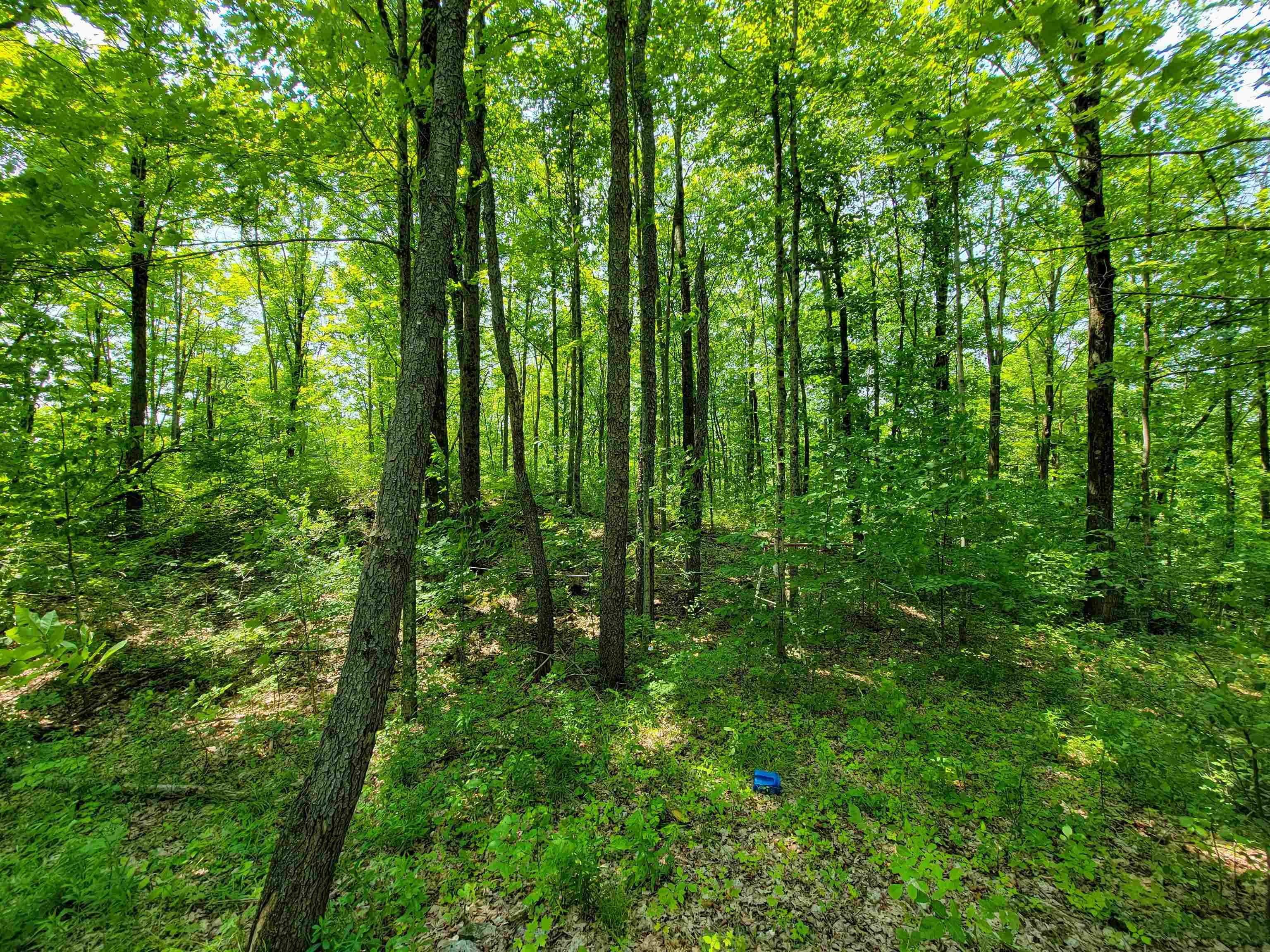 21 Nickerson Road Property Photo 34