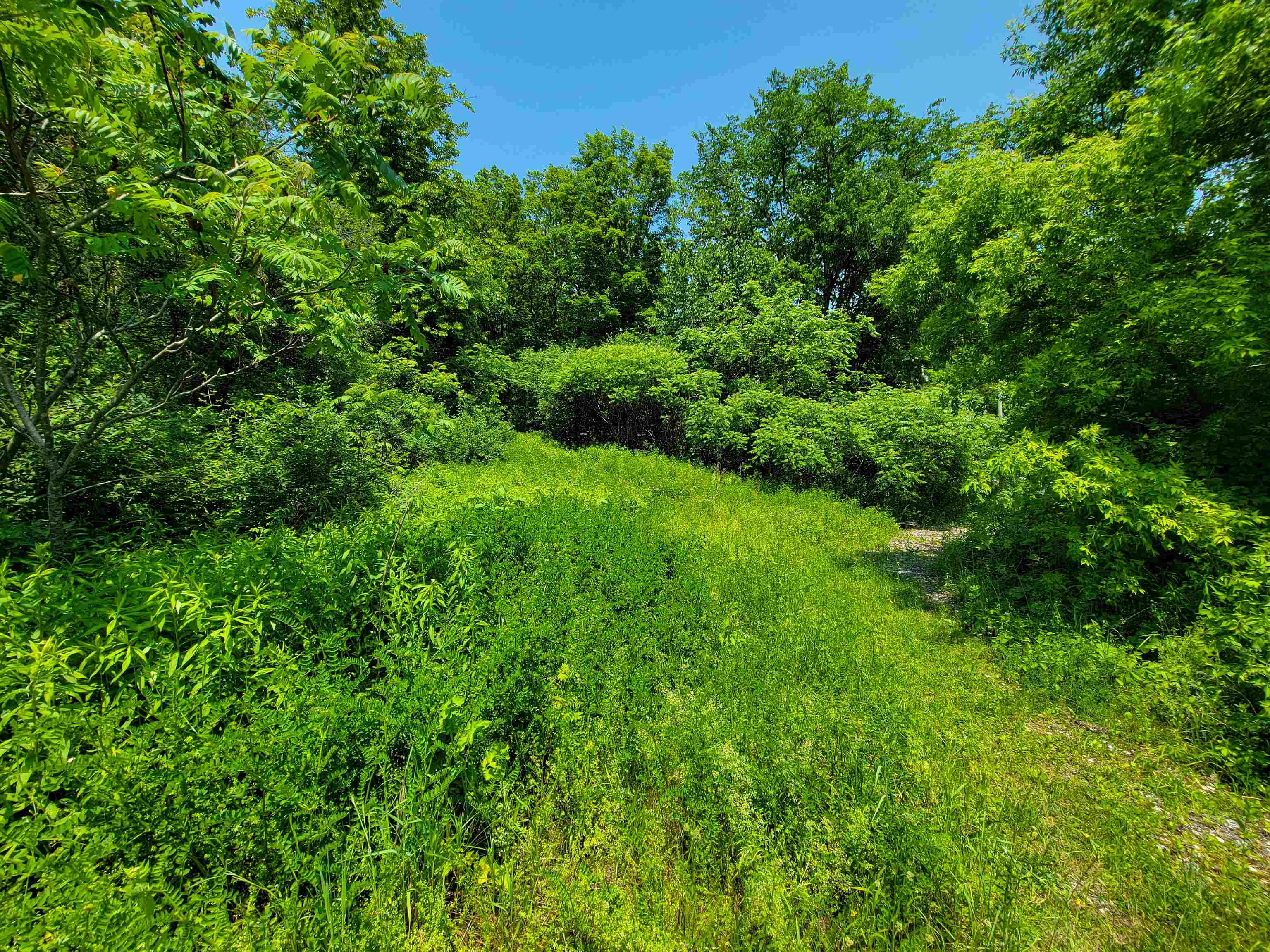 21 Nickerson Road Property Photo 35