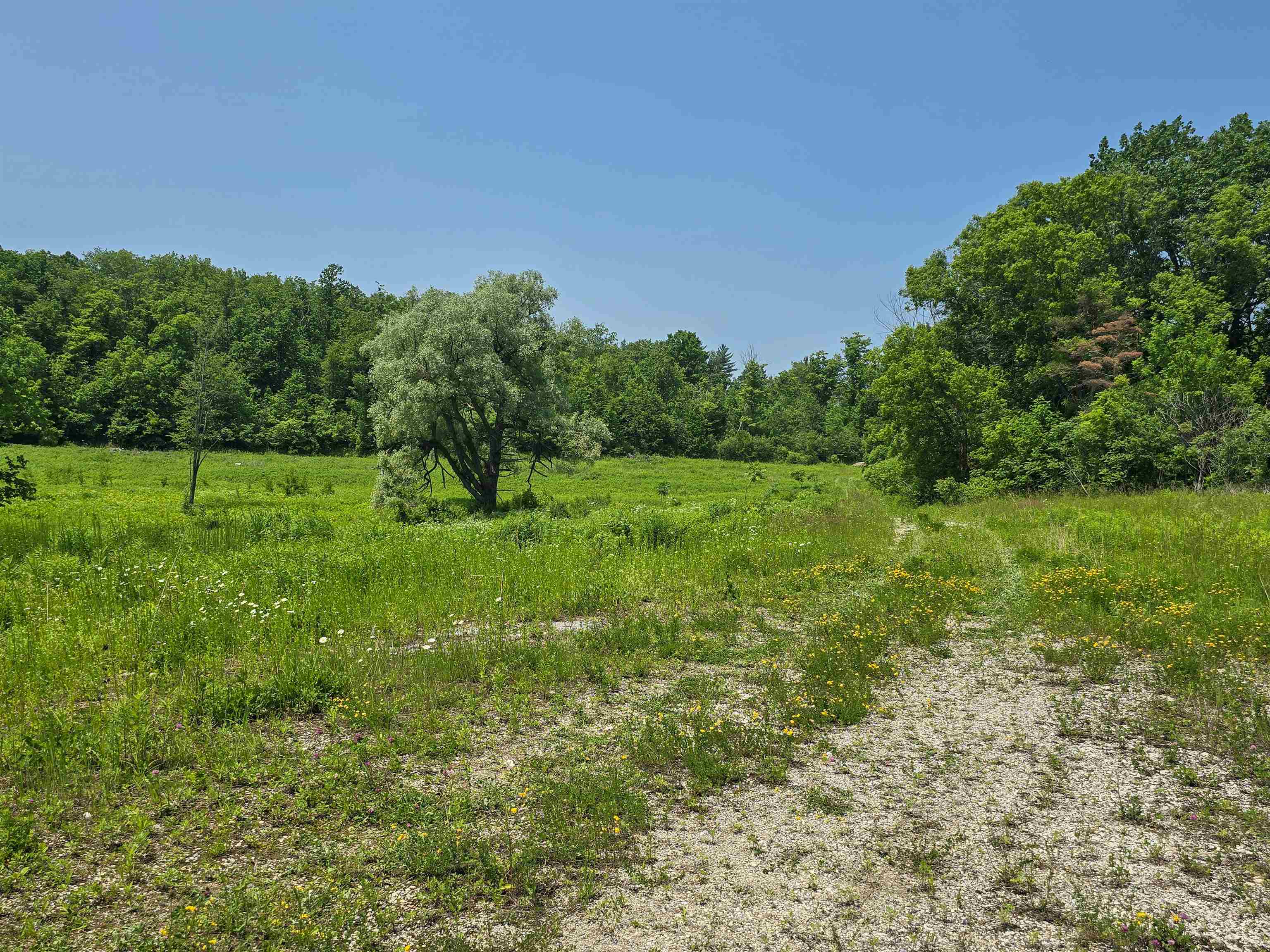 21 Nickerson Road Property Photo 36