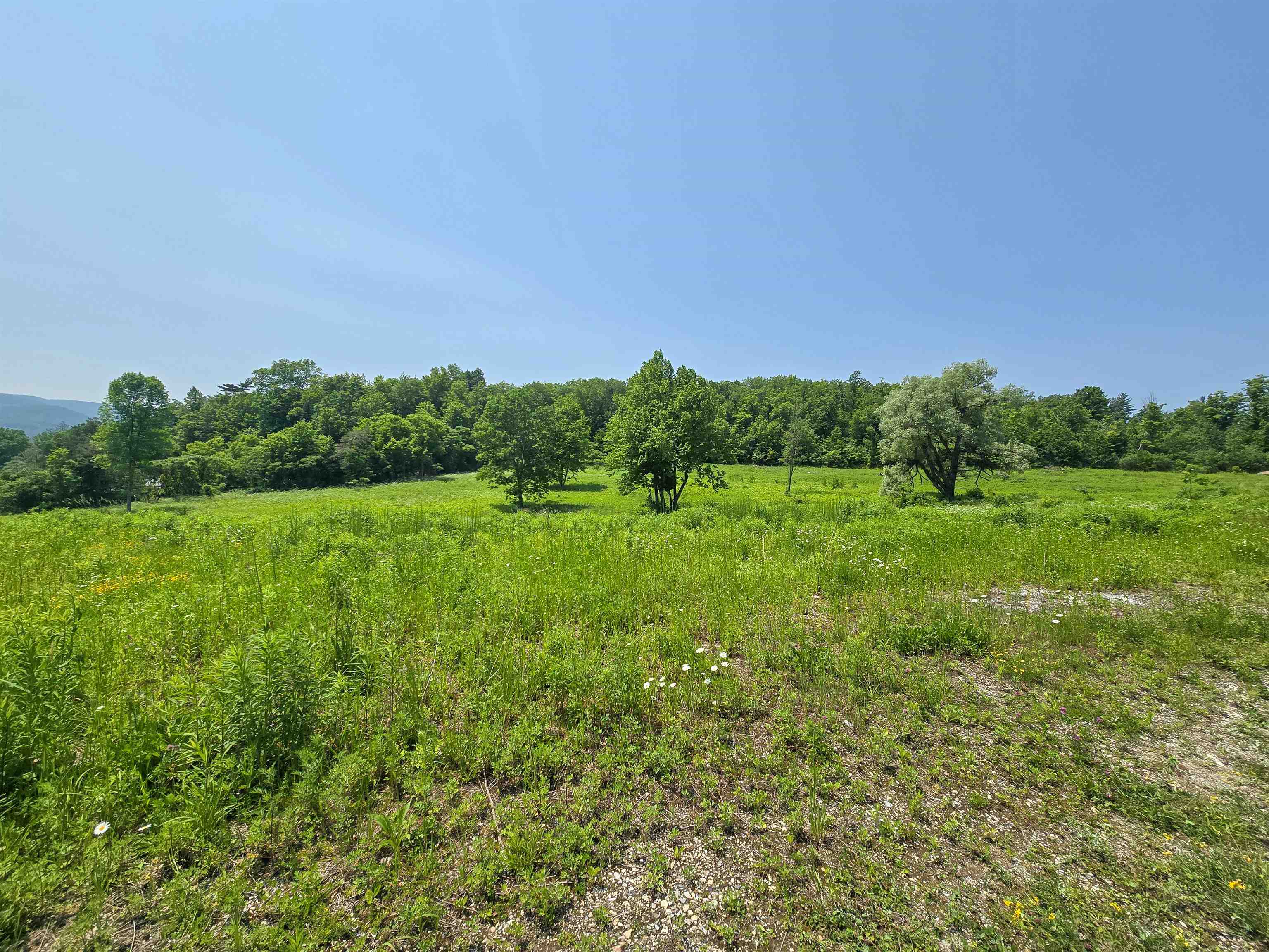 21 Nickerson Road Property Photo 37