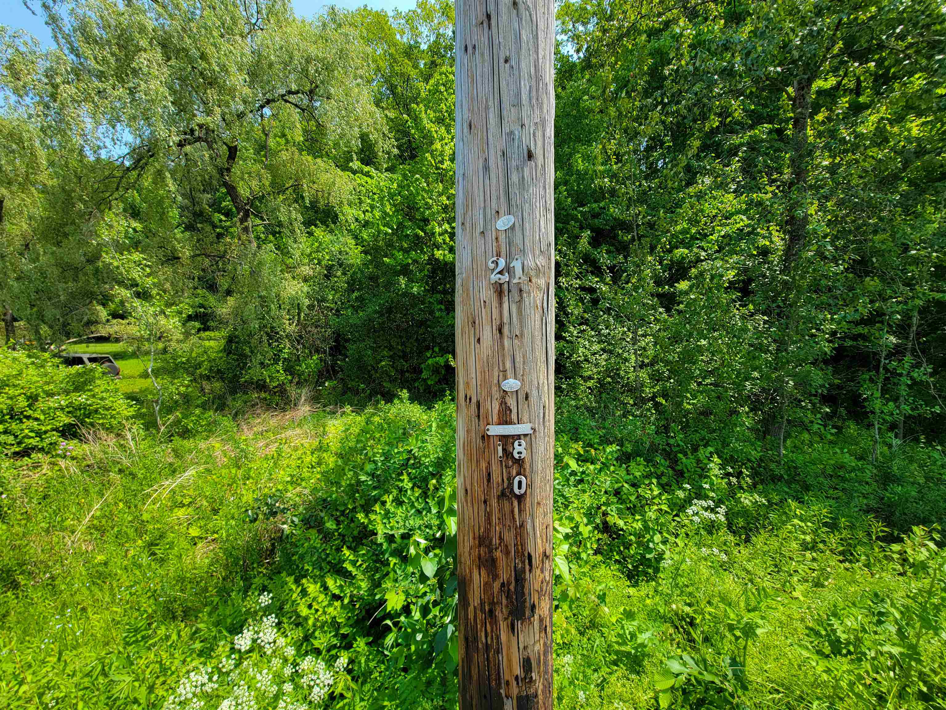 21 Nickerson Road Property Photo 55