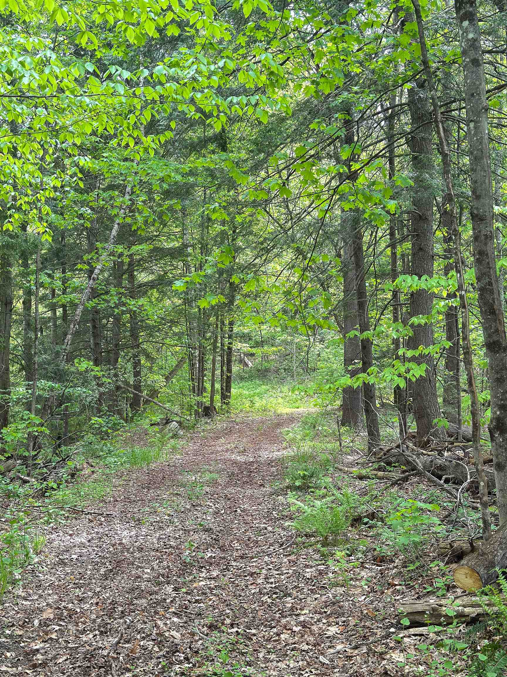3051 Vt Rte 107 Property Photo 19
