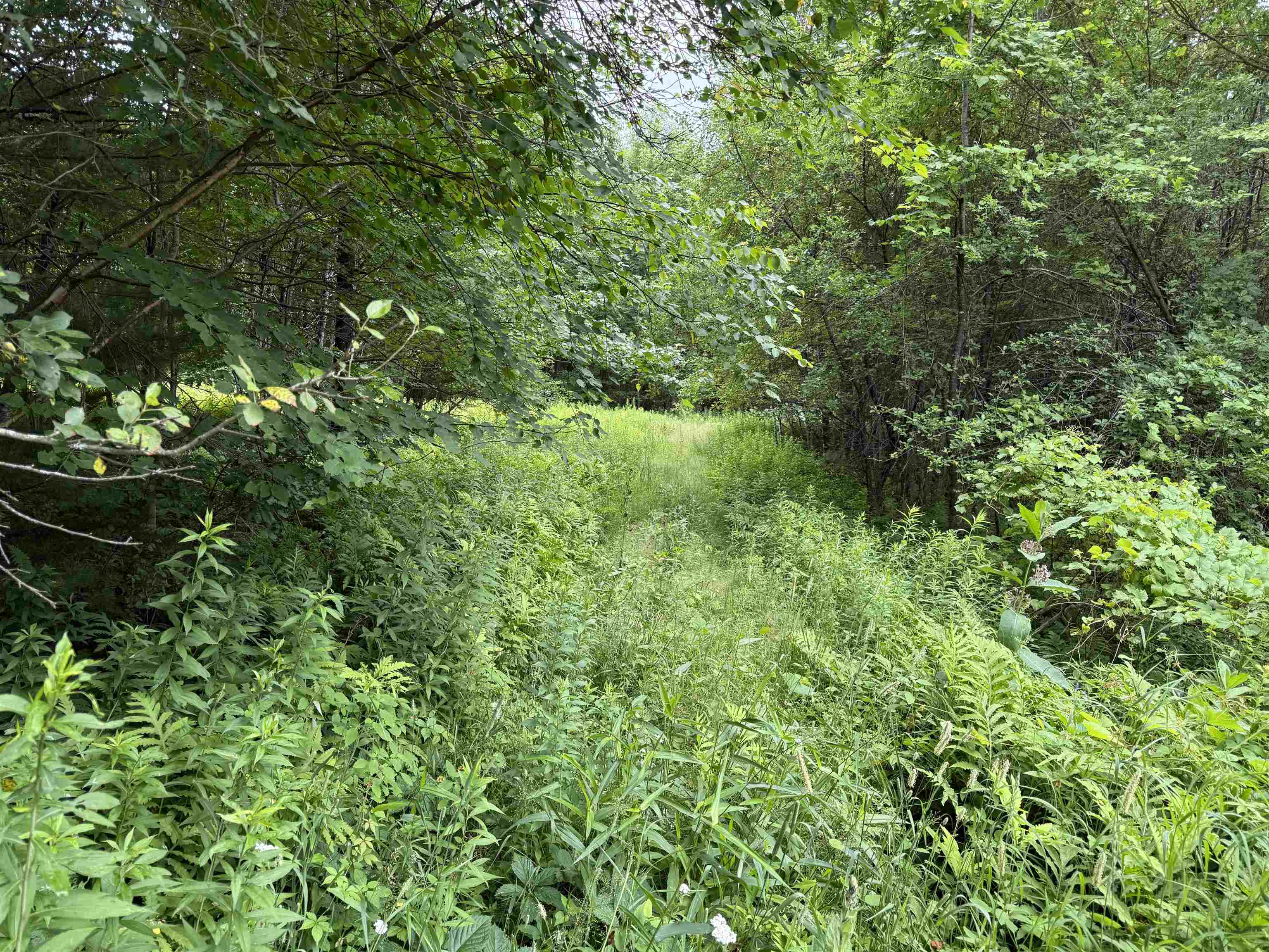 90 Stone Hill Road Property Photo 1