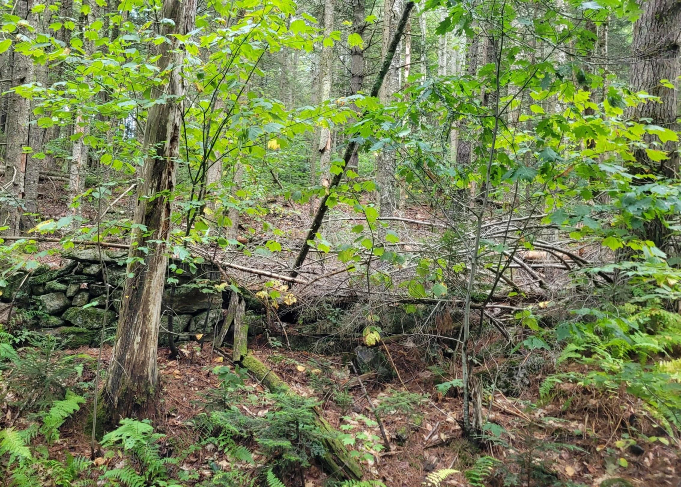 00 Chaos Turnpike Property Photo 11