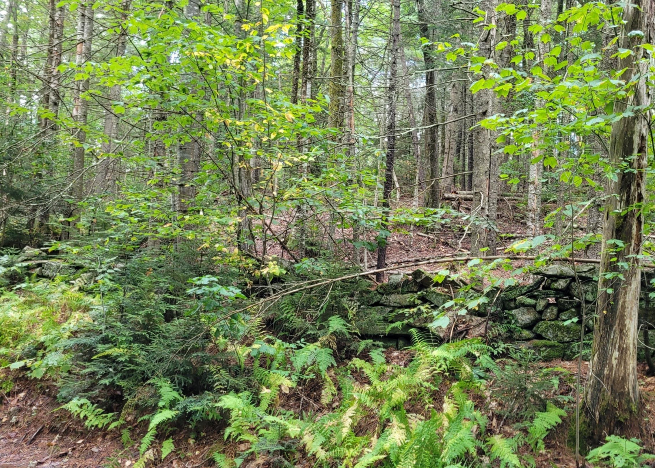 00 Chaos Turnpike Property Photo 12