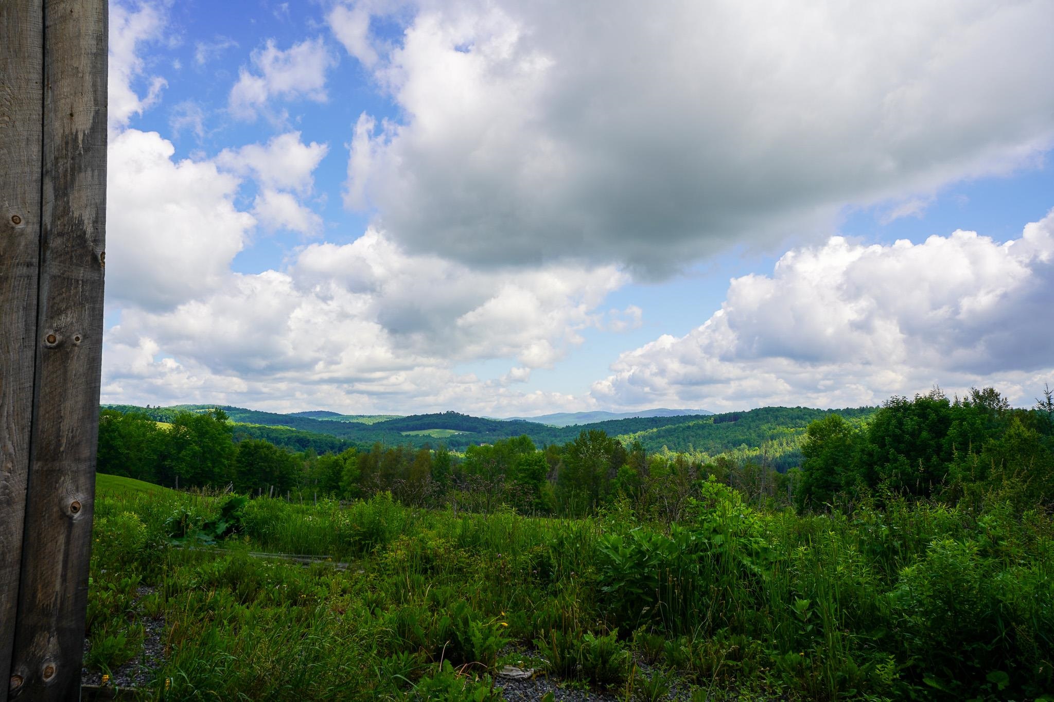 2124 Cold Hill Road Property Photo 8