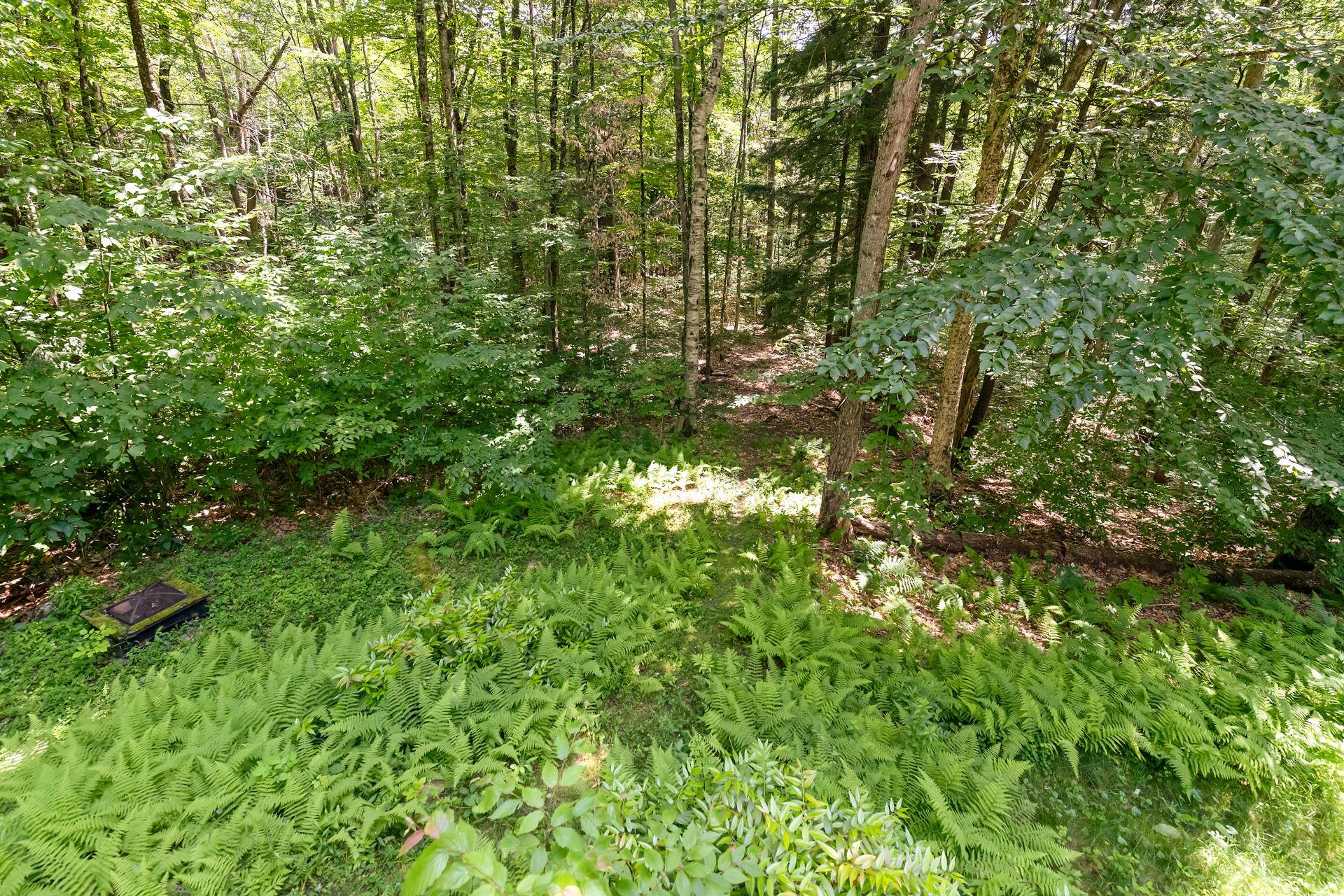 21 Hummingbird Hill Property Photo 38