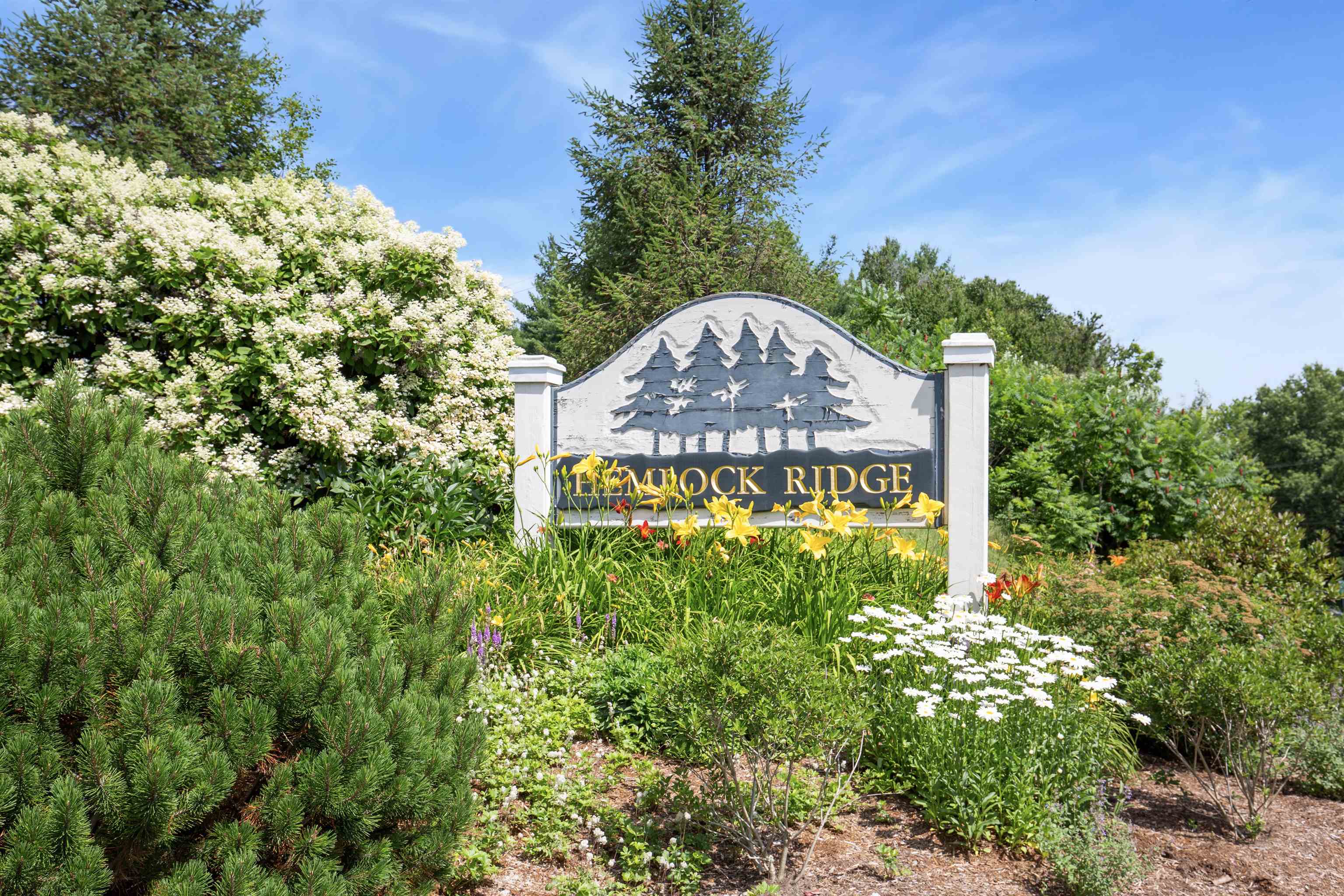 16 Hemlock Ridge Drive Property Photo 19