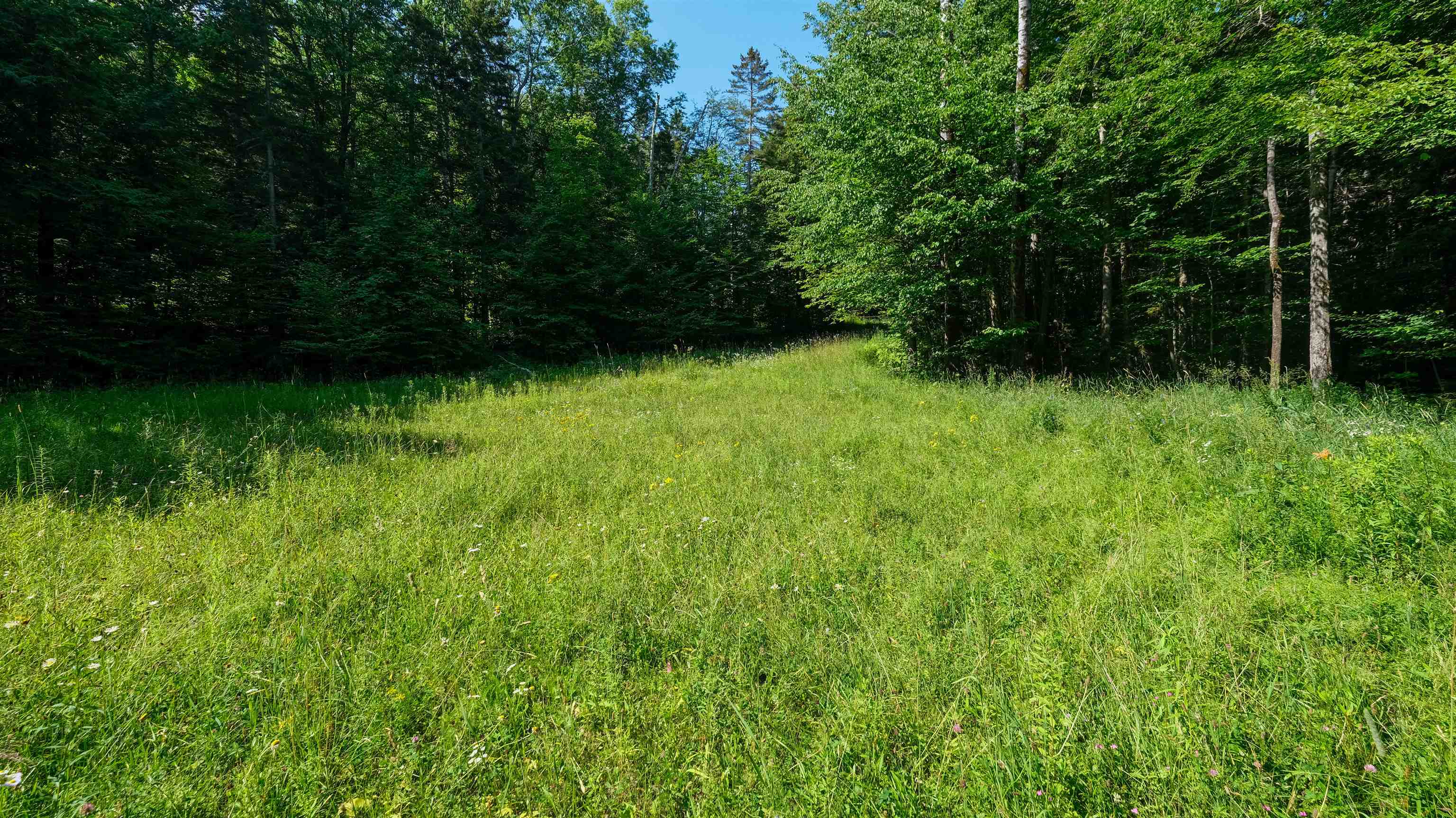 0 Berry Patch Lane Property Photo 1