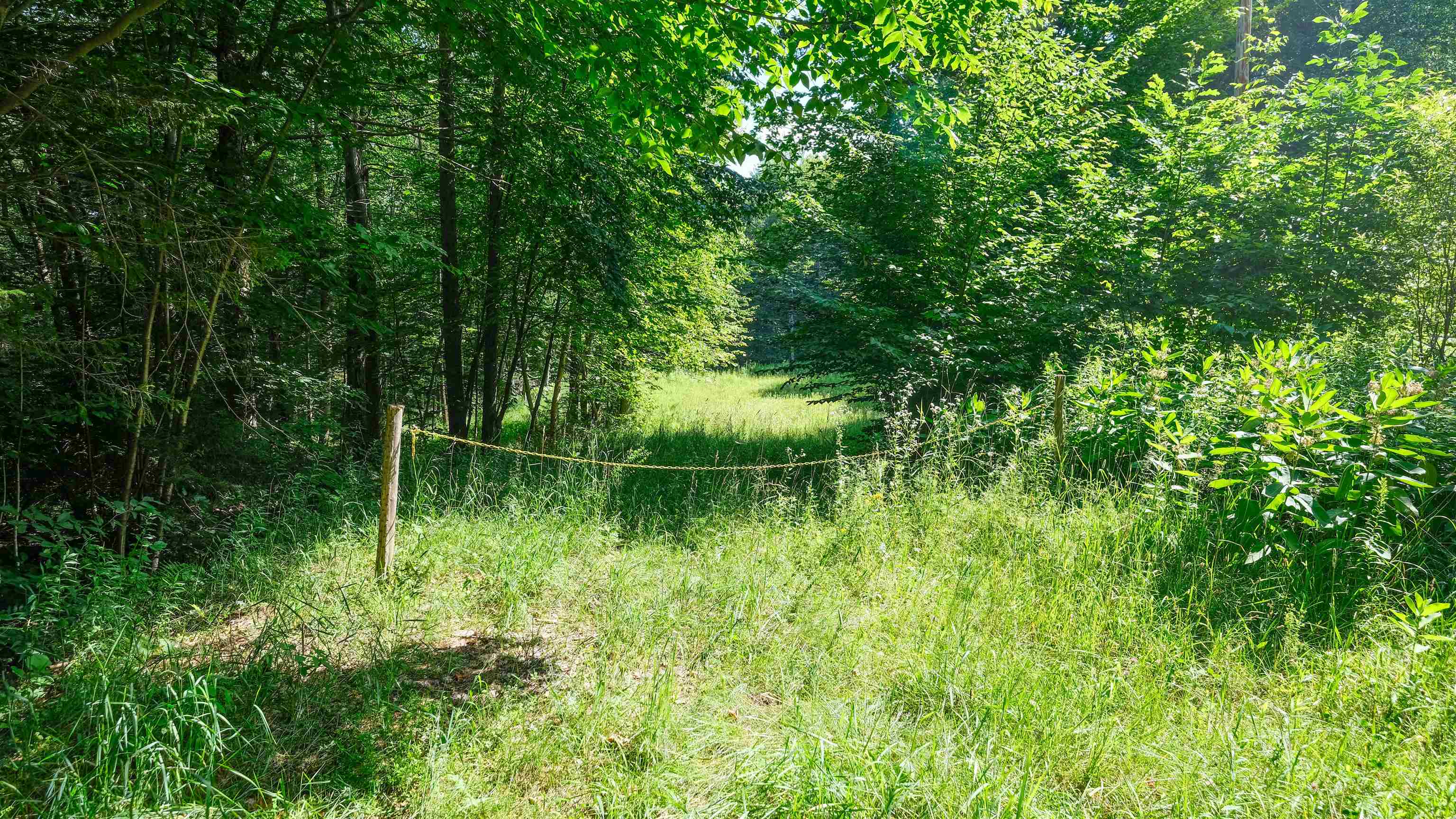 0 Berry Patch Lane Property Photo 3